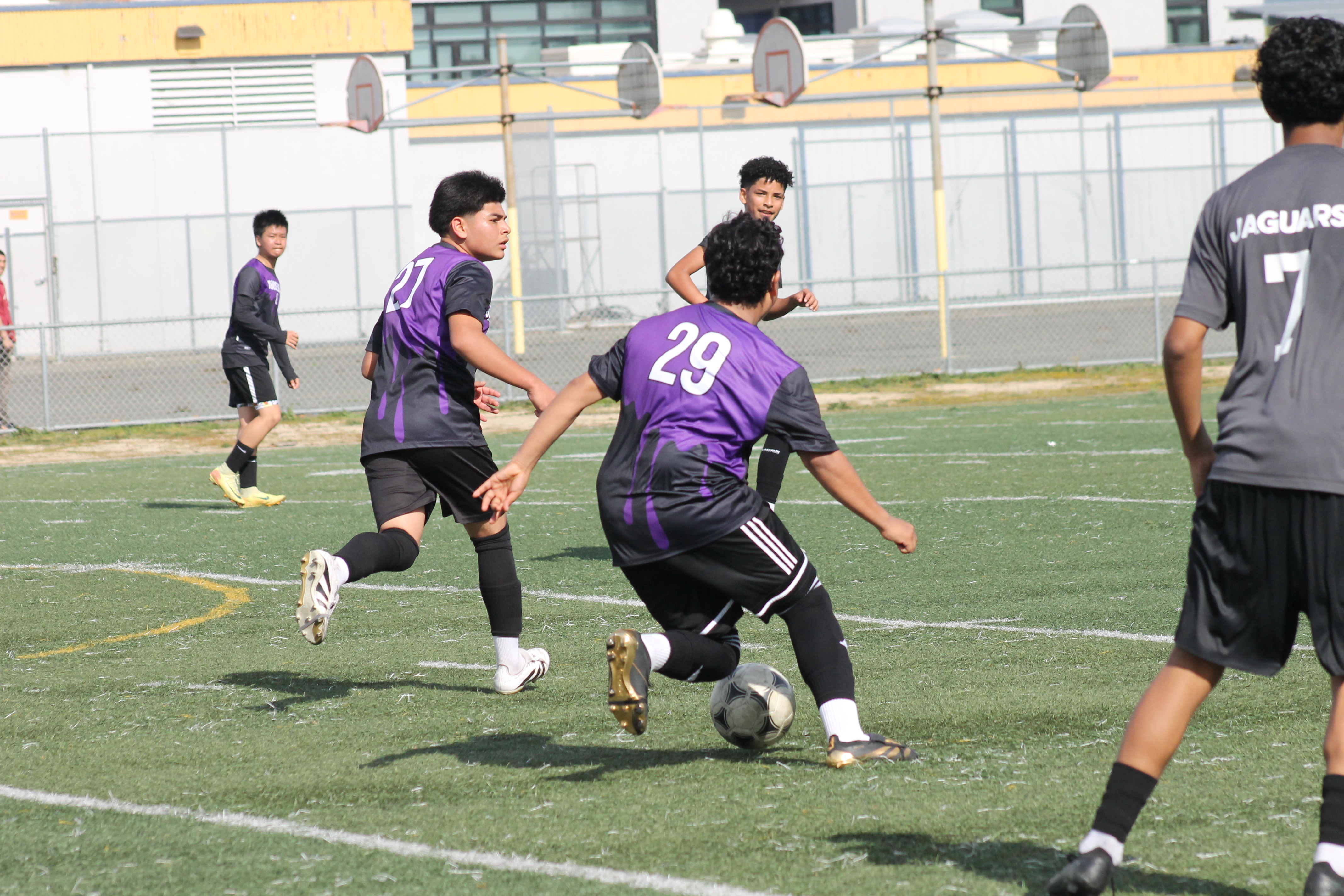 IMG 4281