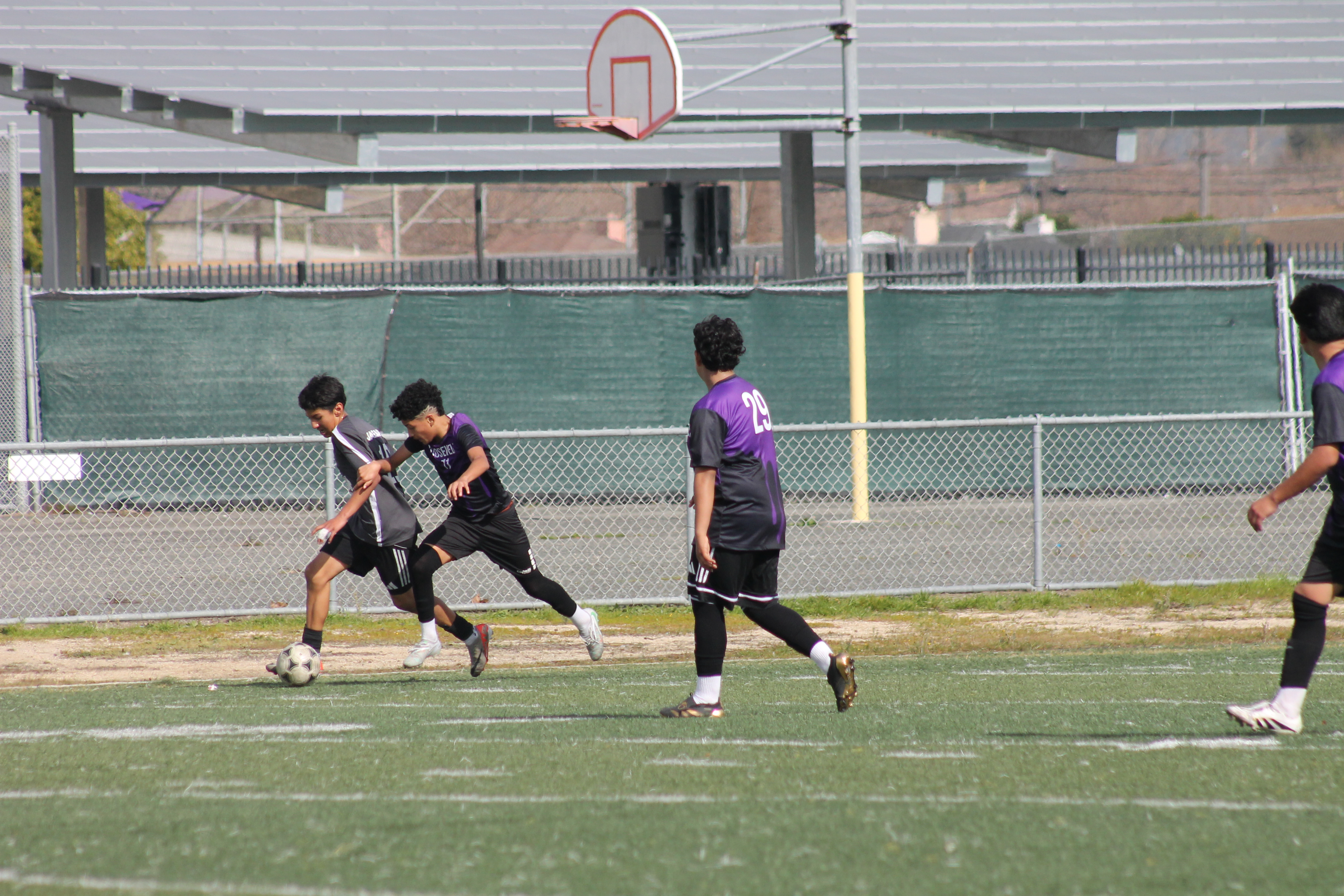 IMG 4288