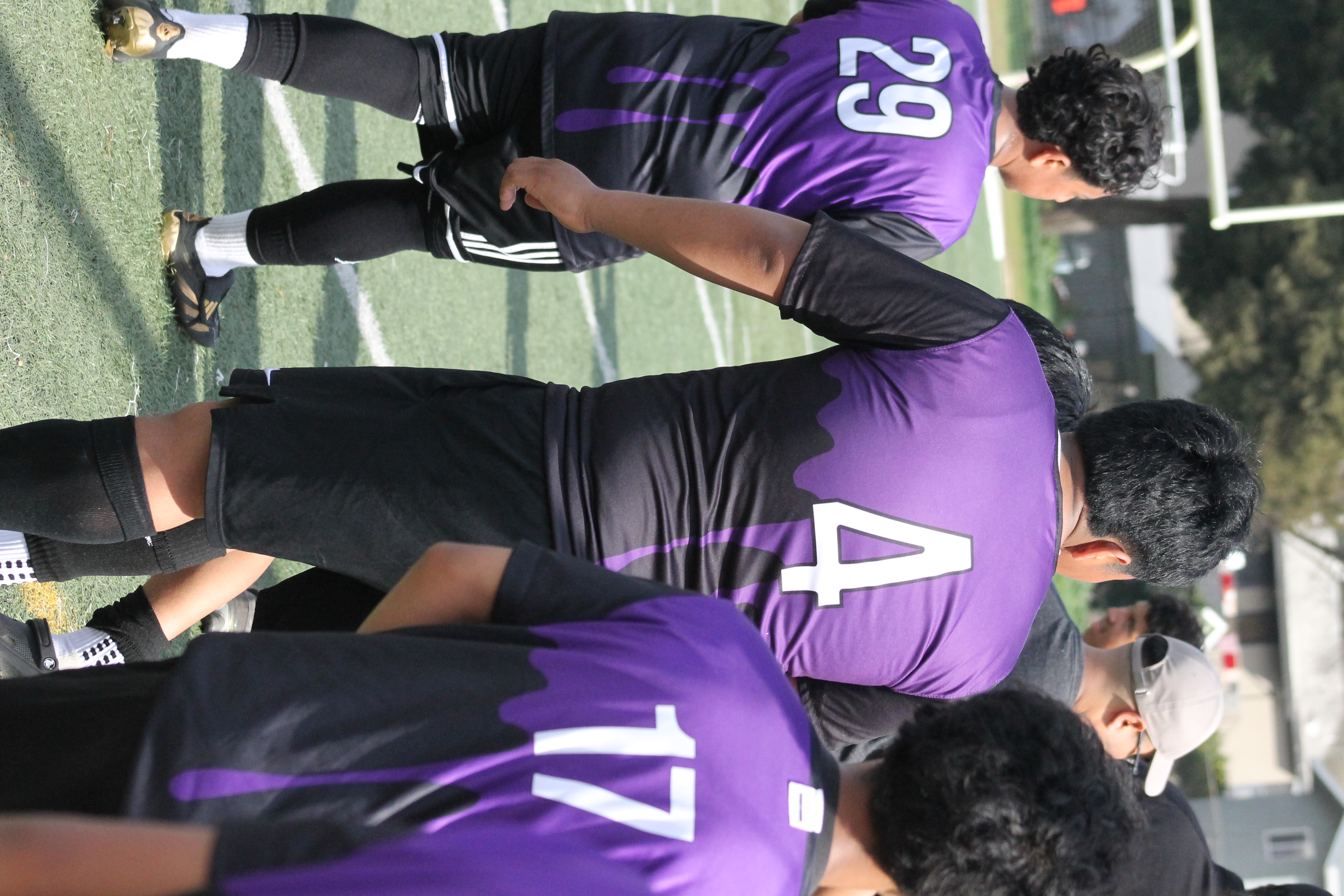 IMG 4347