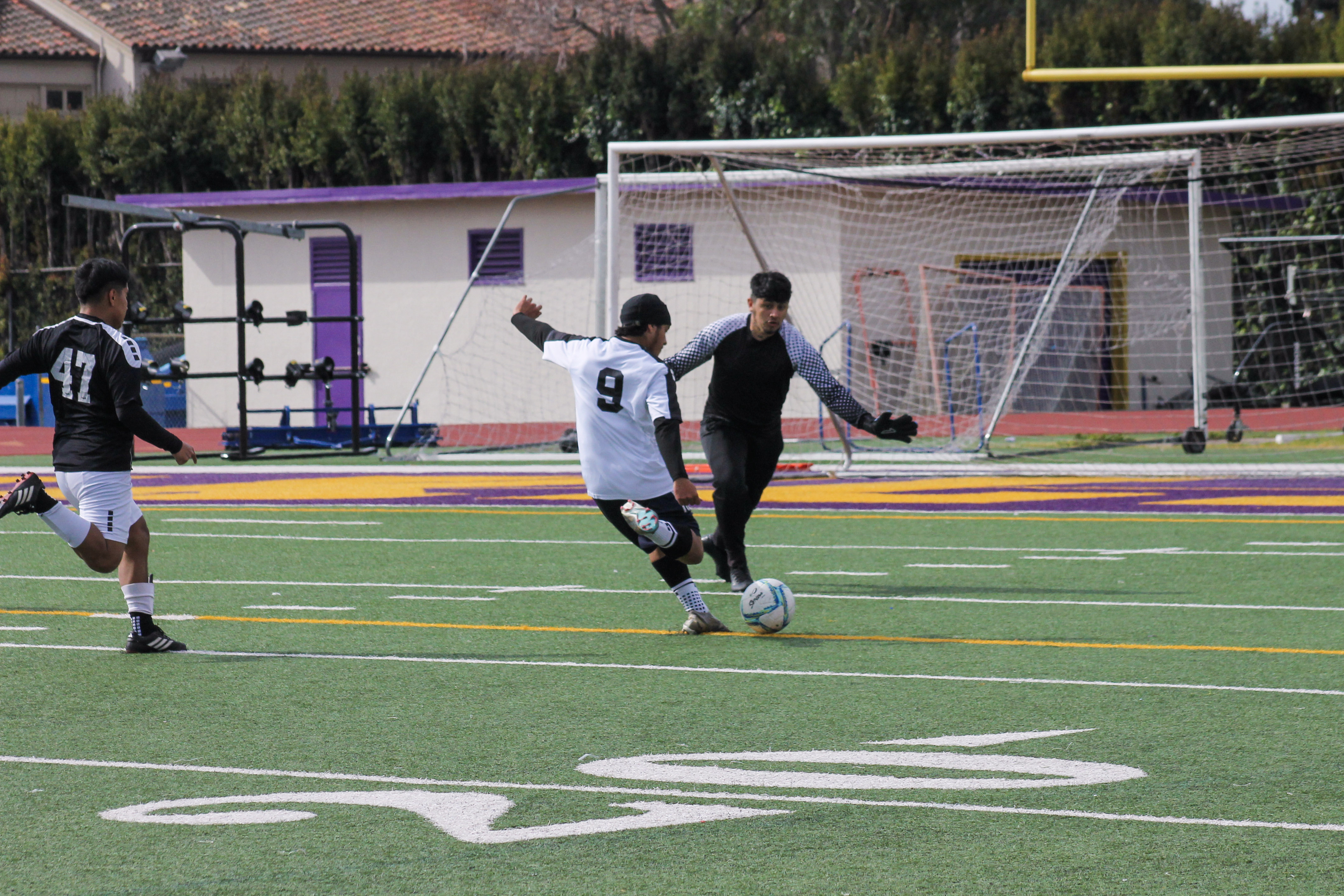 11 IMG 4767