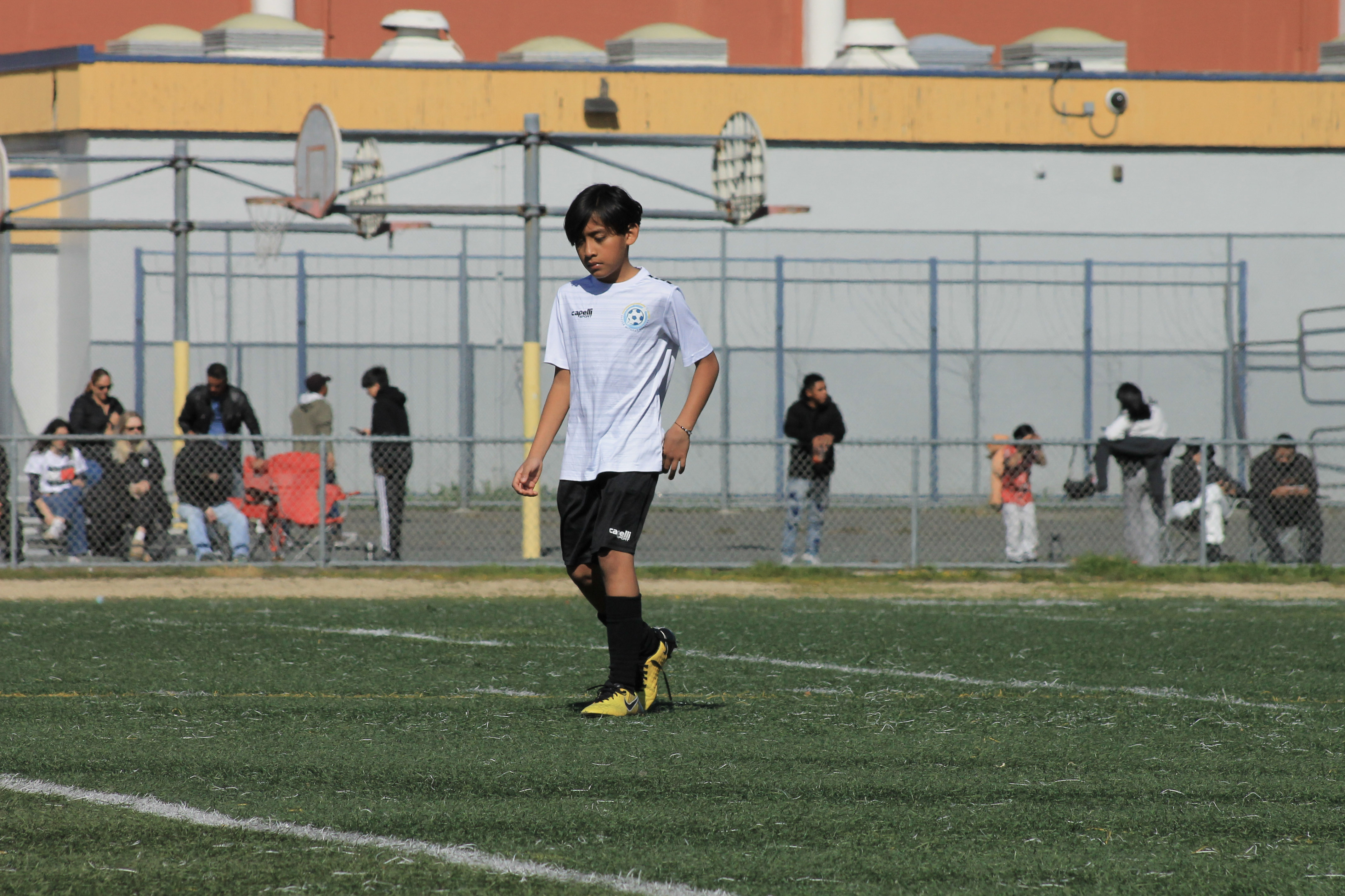102 IMG 6715