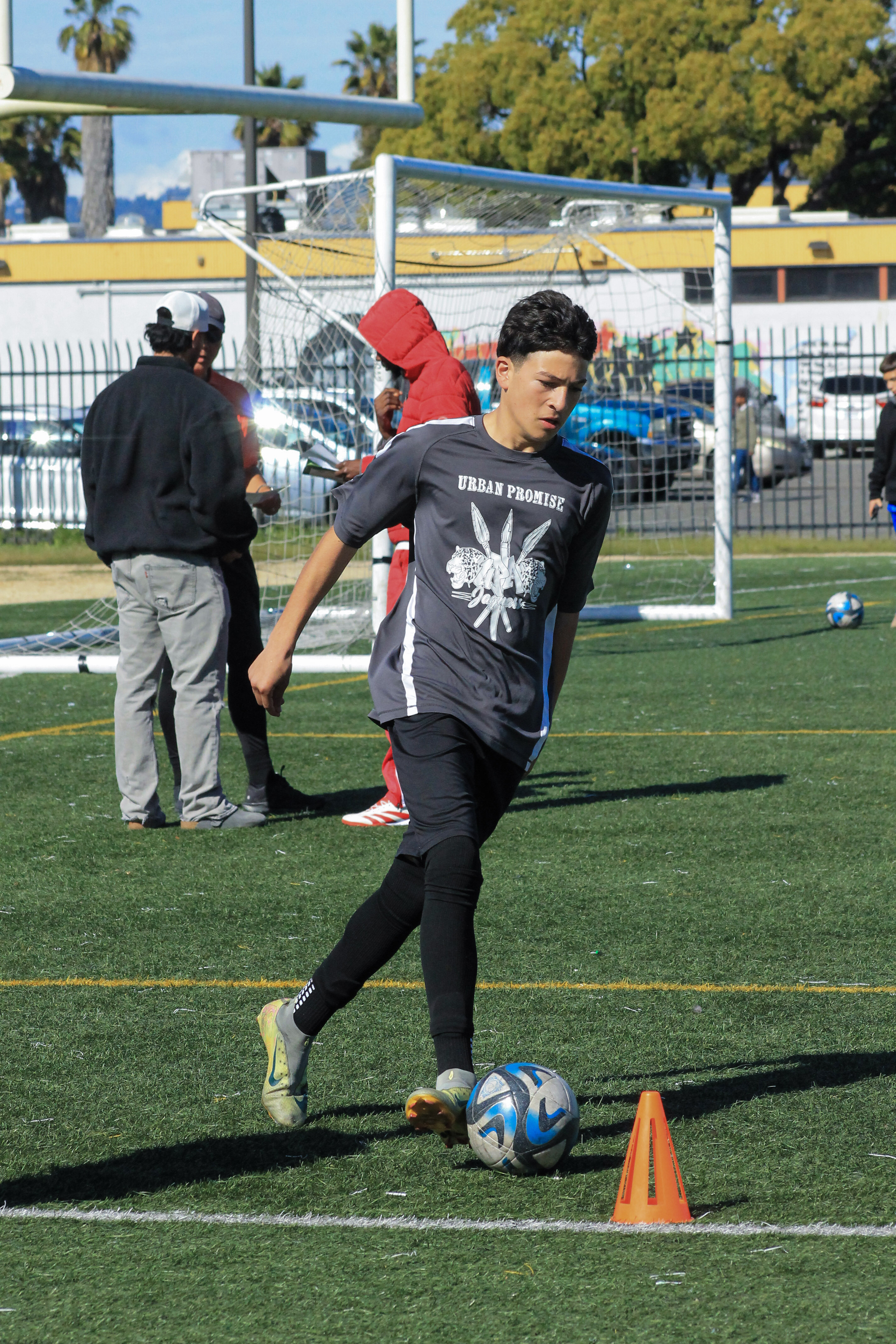 12 IMG 6768
