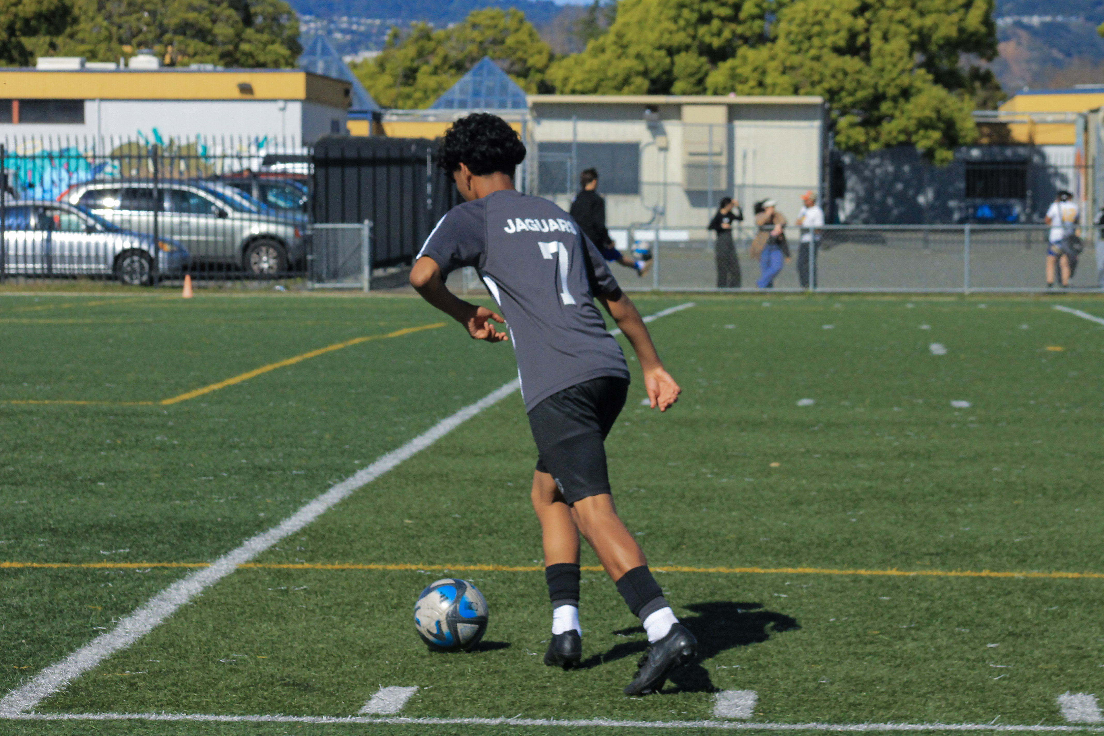 15 IMG 6771