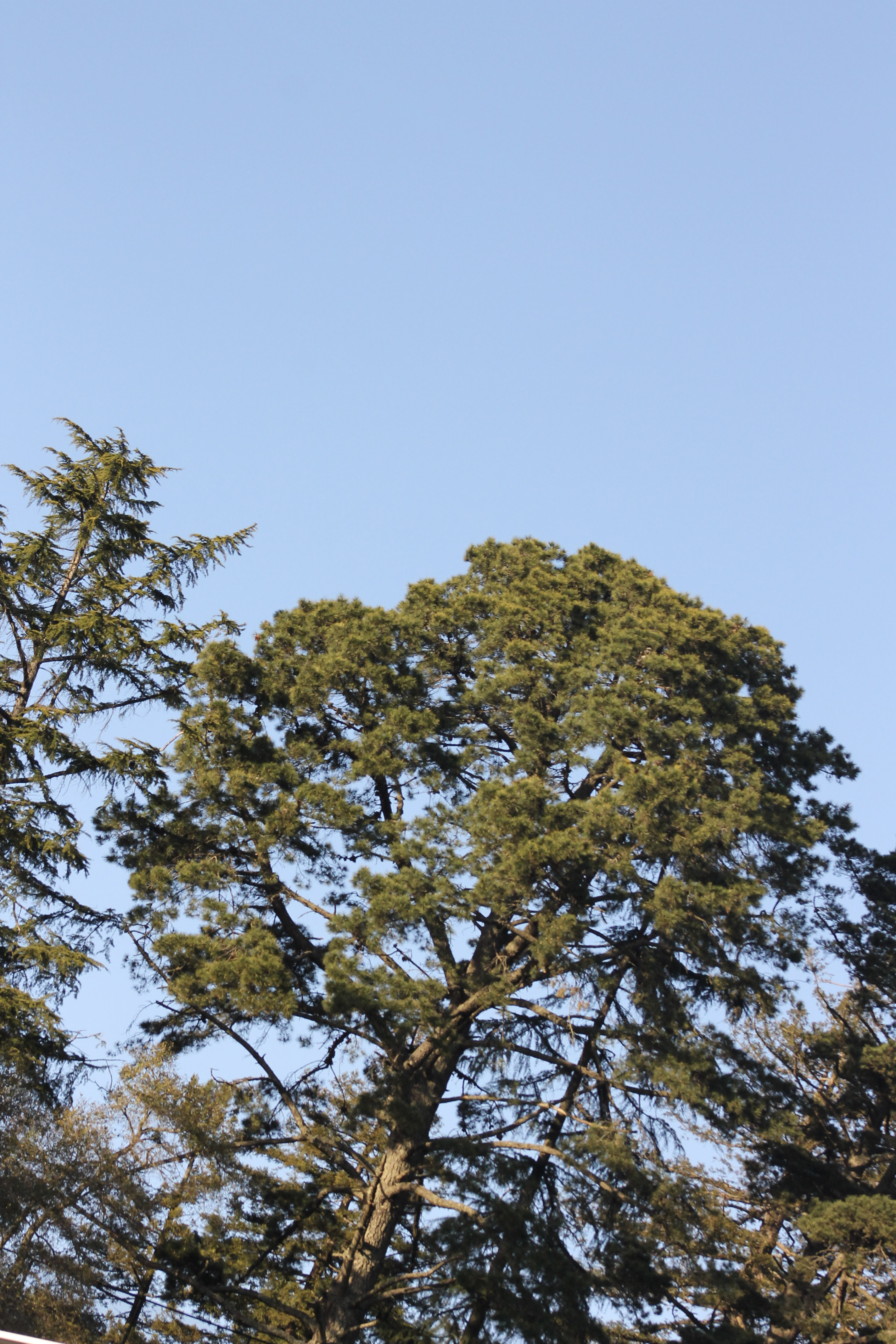 122 IMG 3783