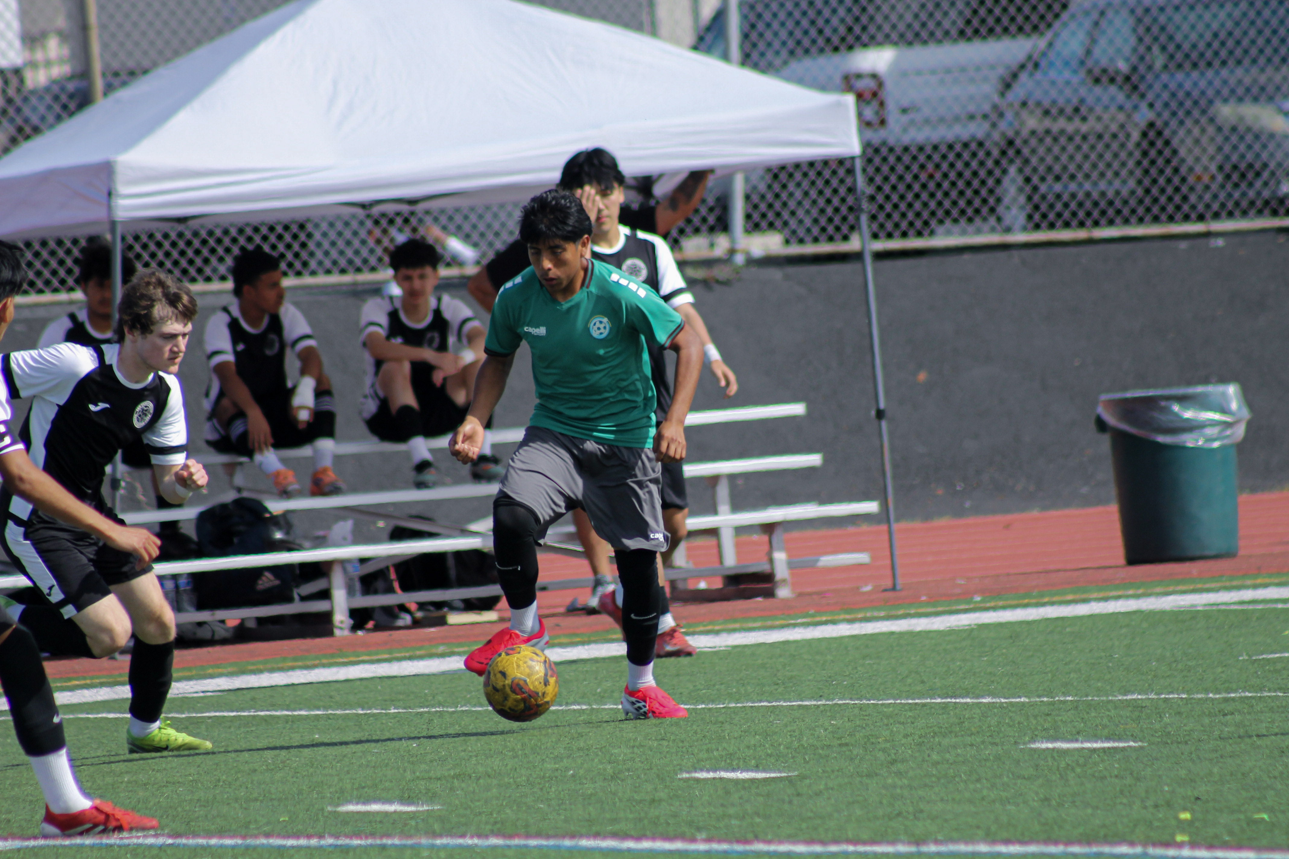 12 IMG 0294