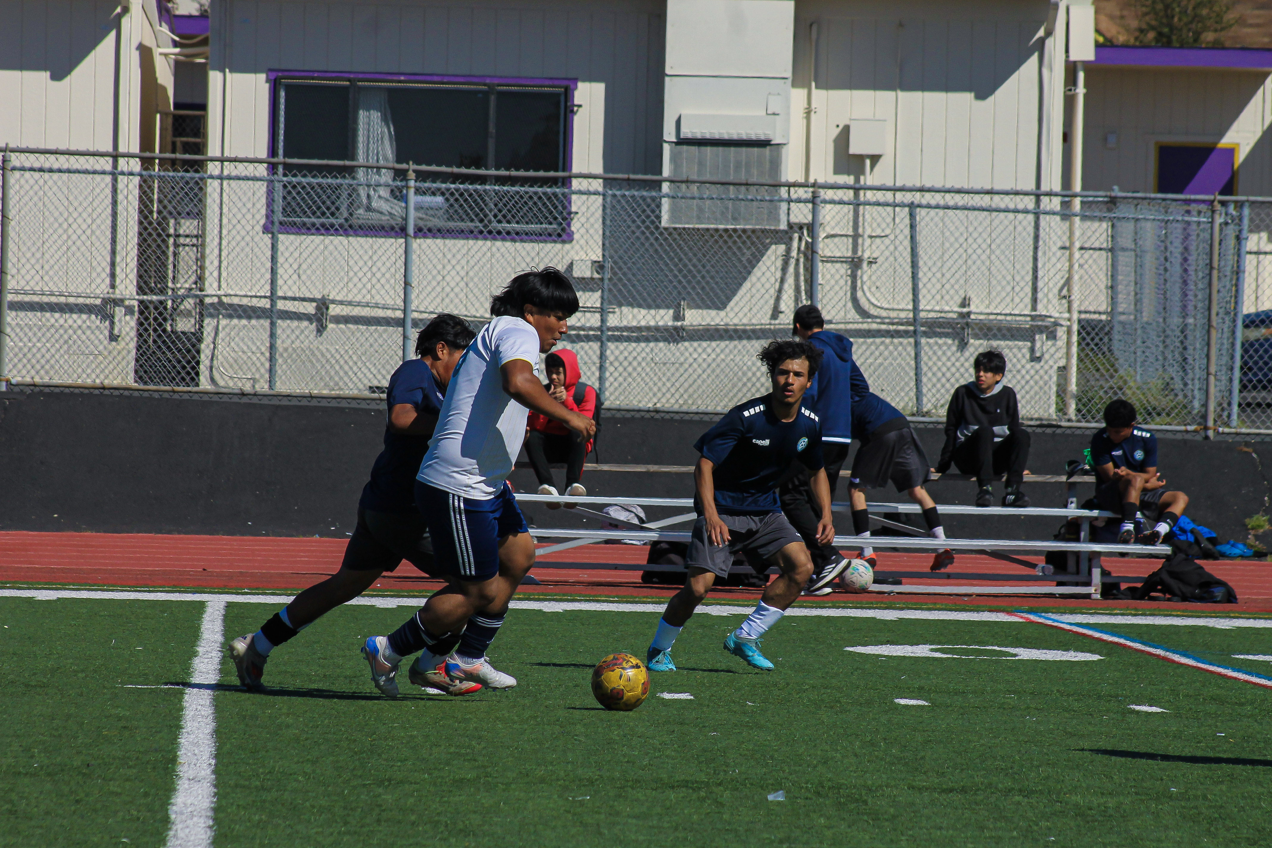 50 IMG 9654