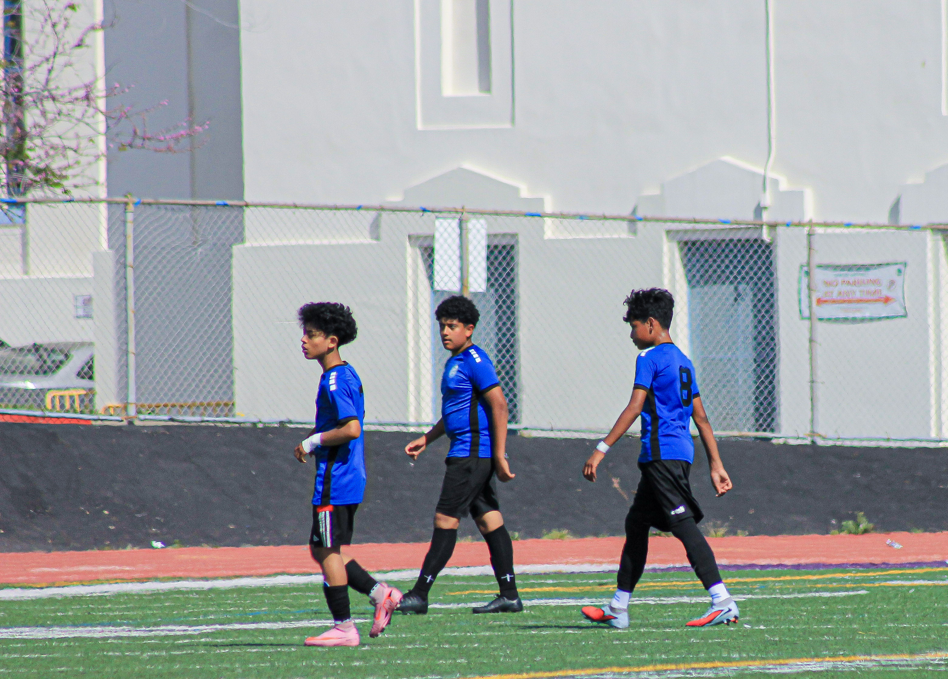 25 IMG 1587