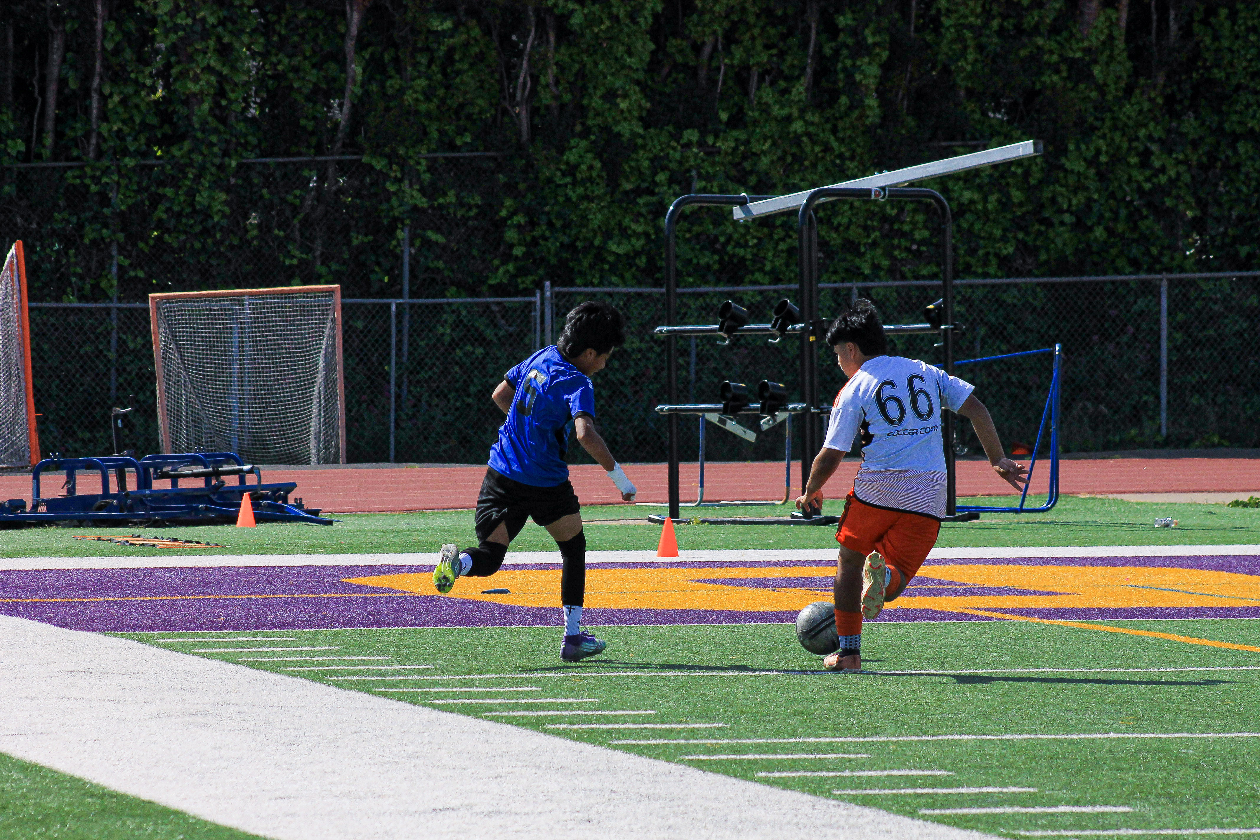 50 IMG 1627
