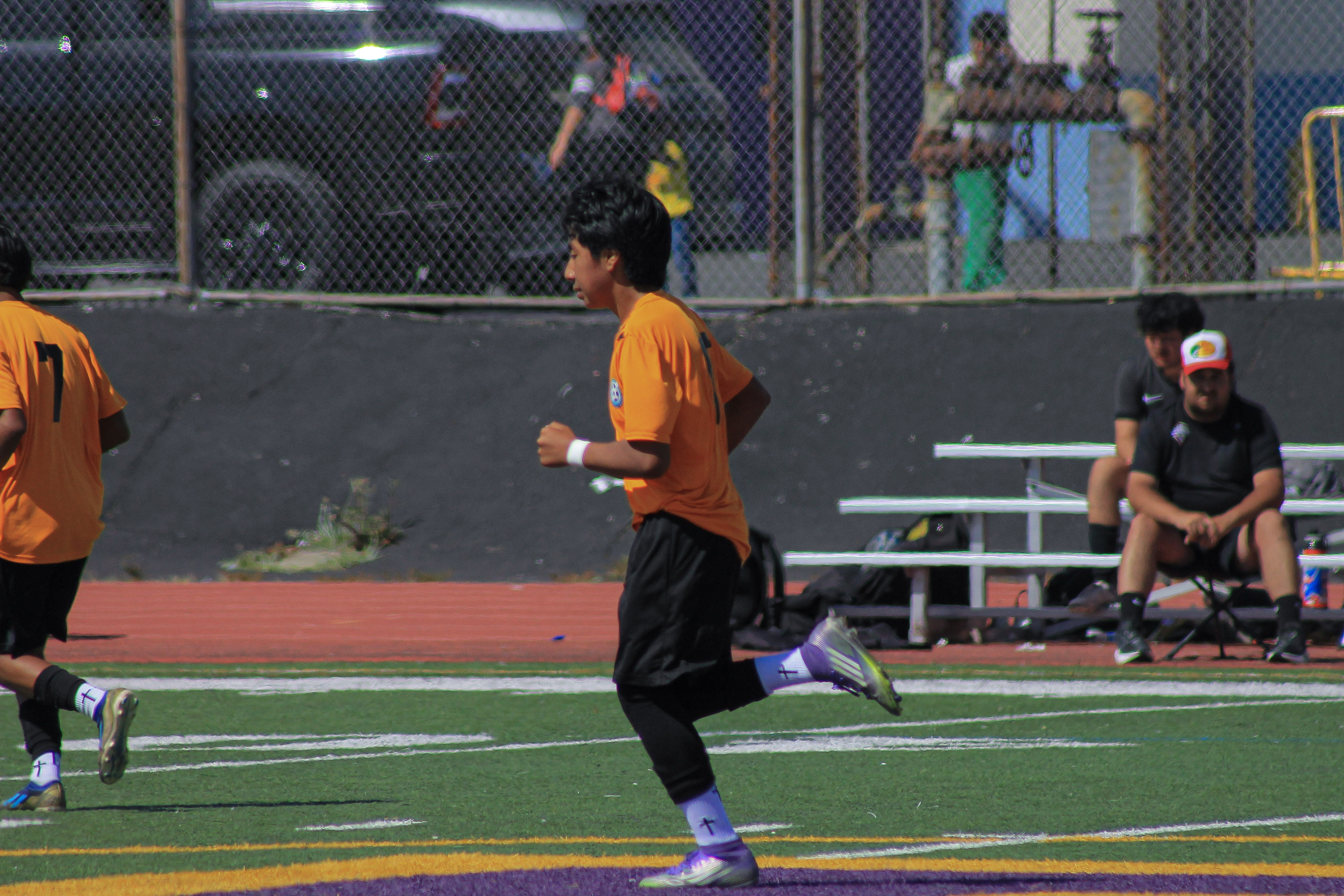 145 IMG 1537