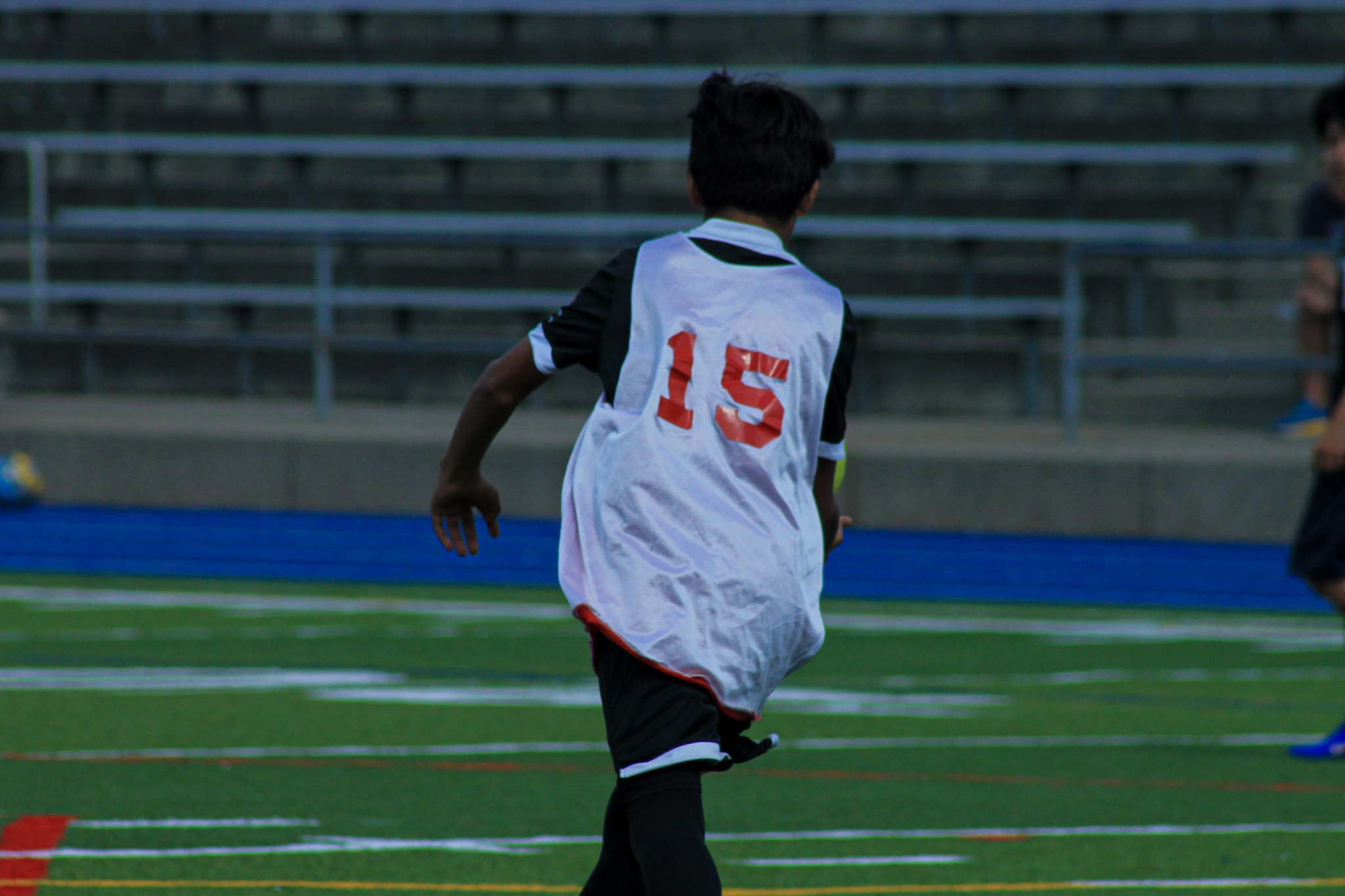 137 IMG 7515