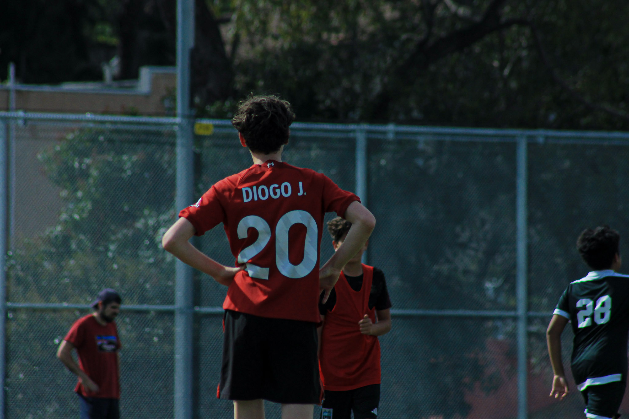 204 IMG 7617