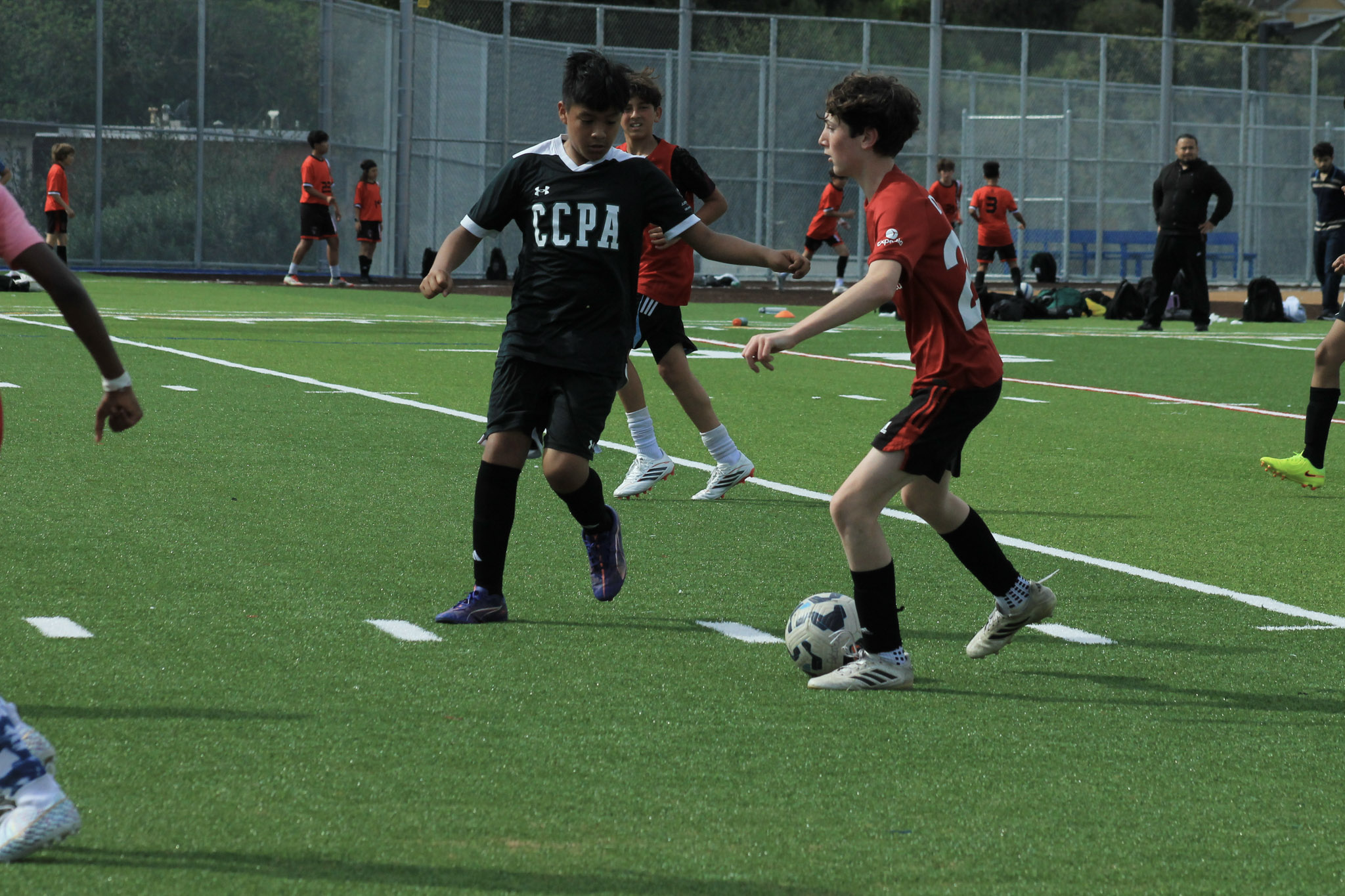 237 IMG 7684