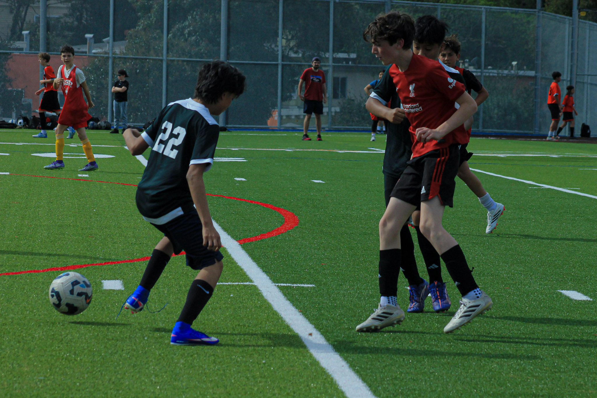 239 IMG 7686