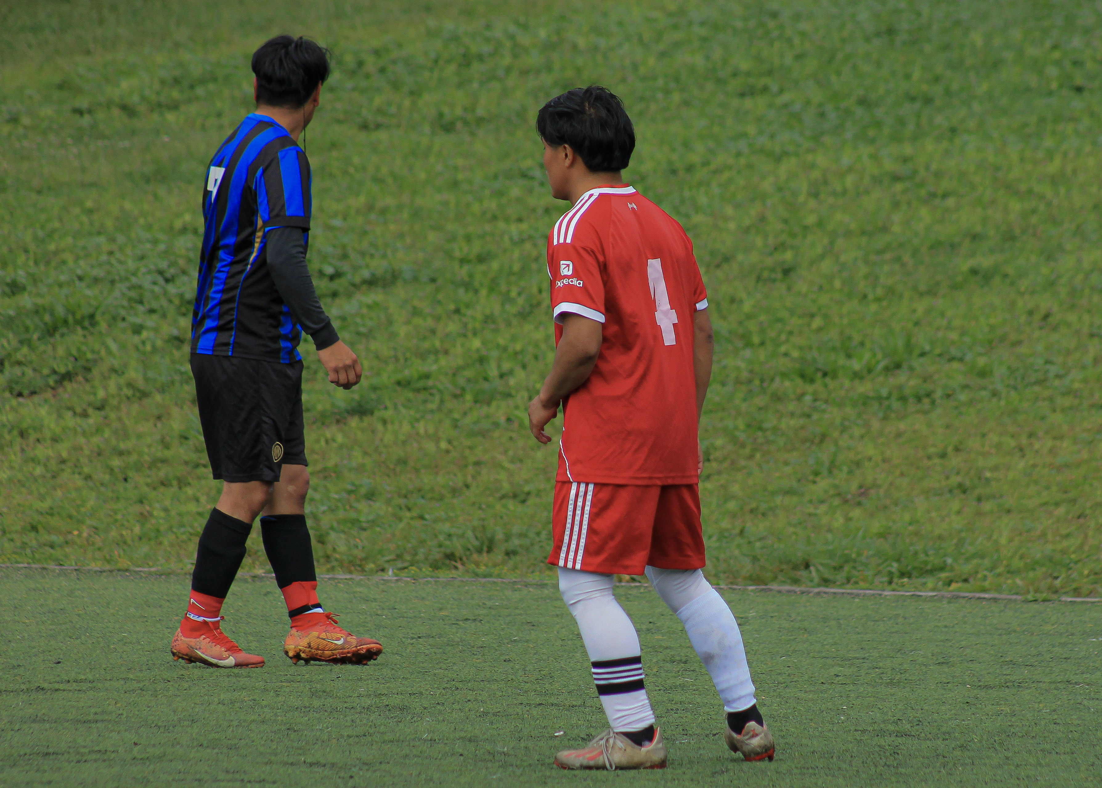 8 IMG 1921