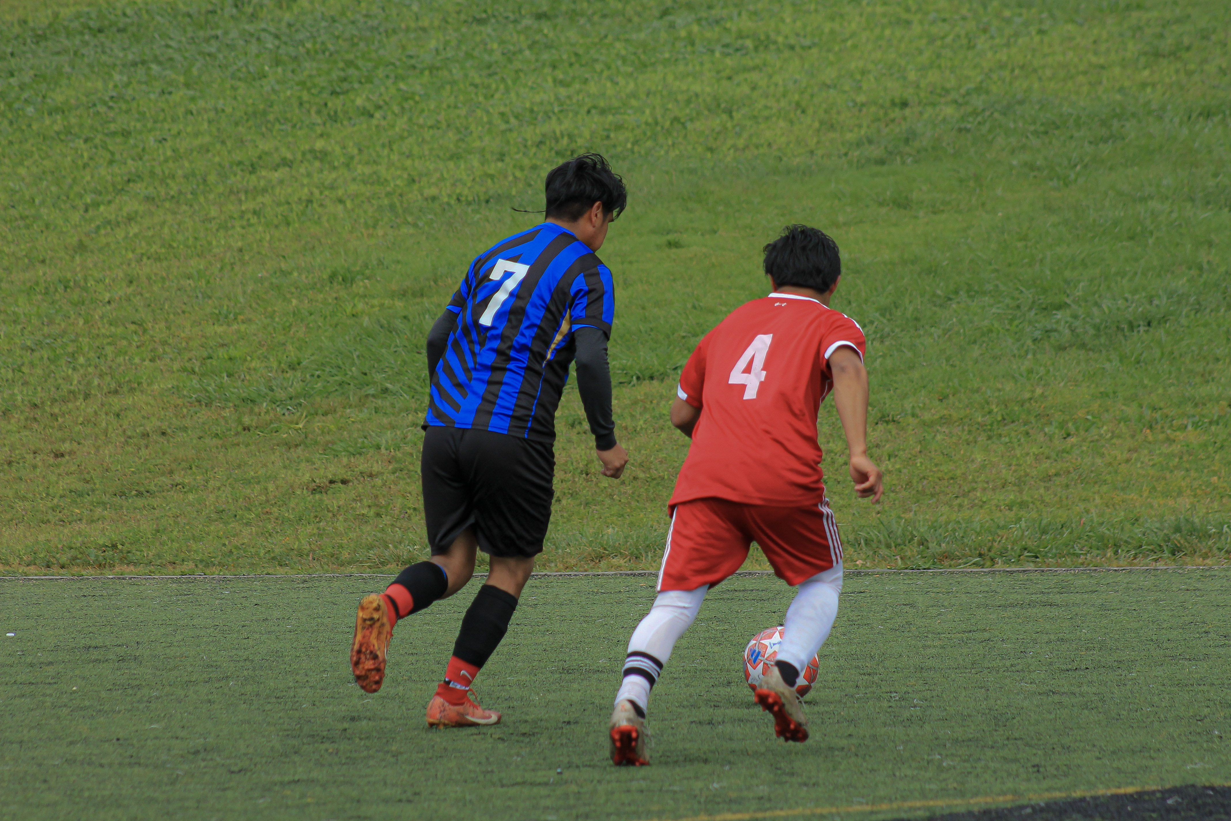 12 IMG 1934