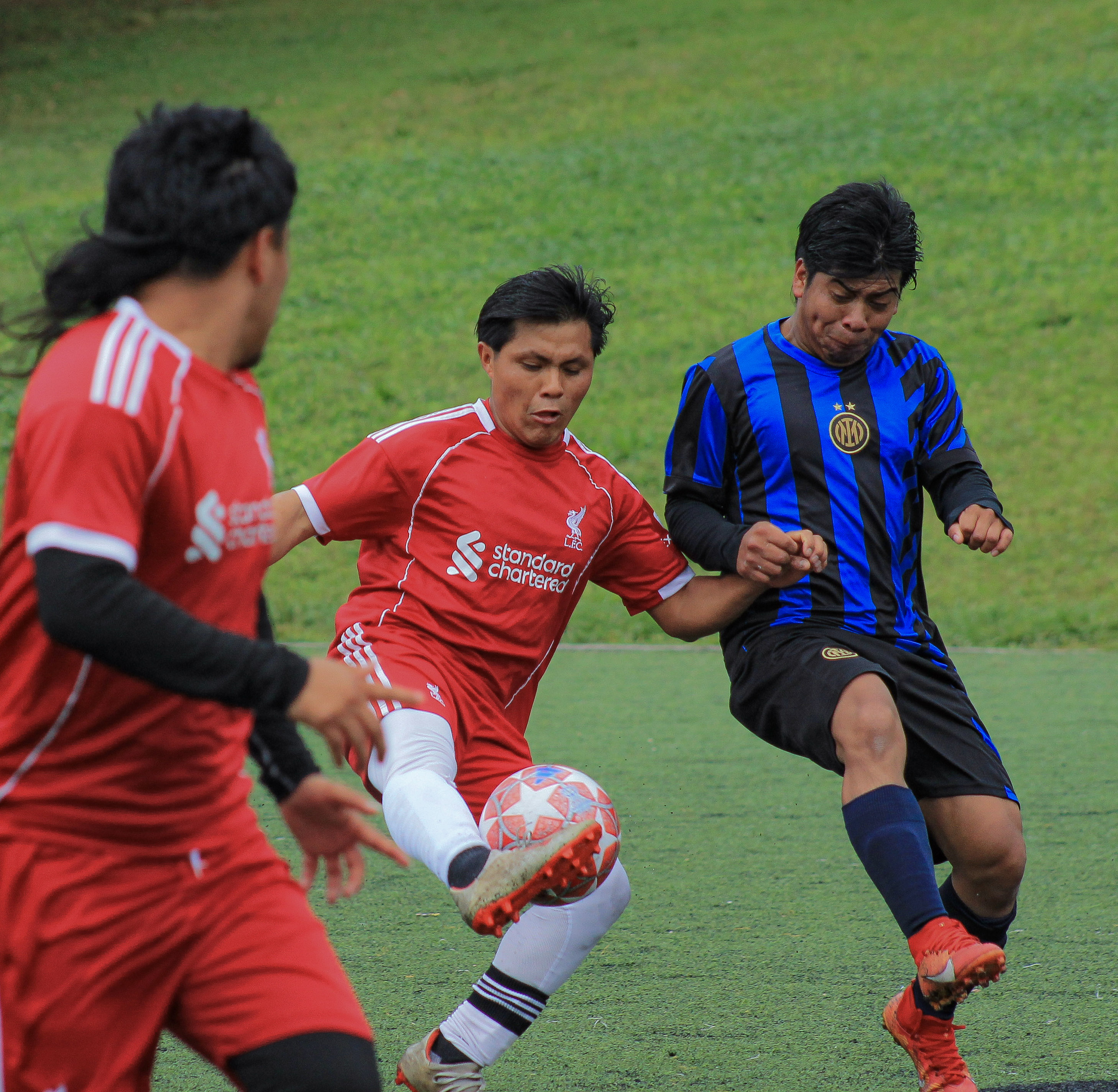 37 IMG 1979