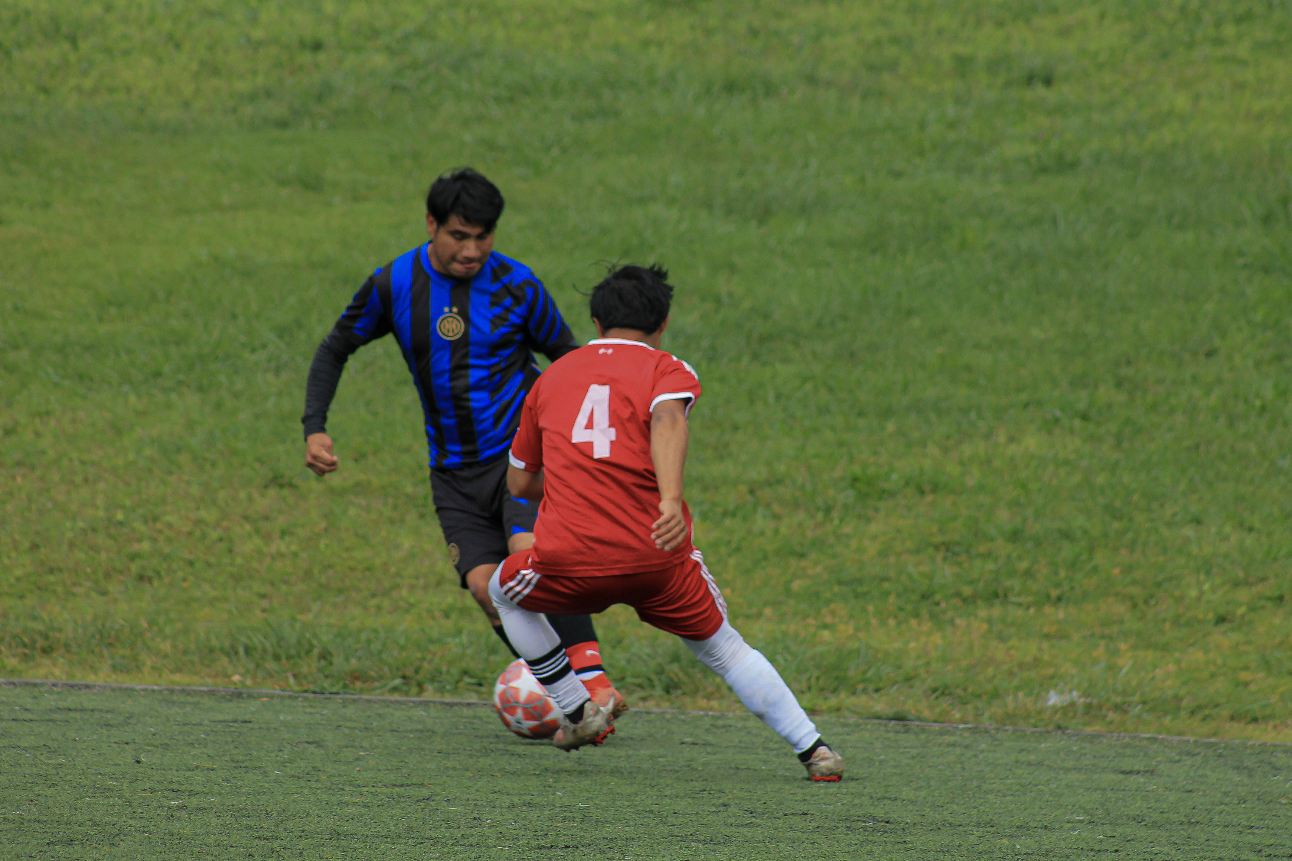 4 IMG 1916