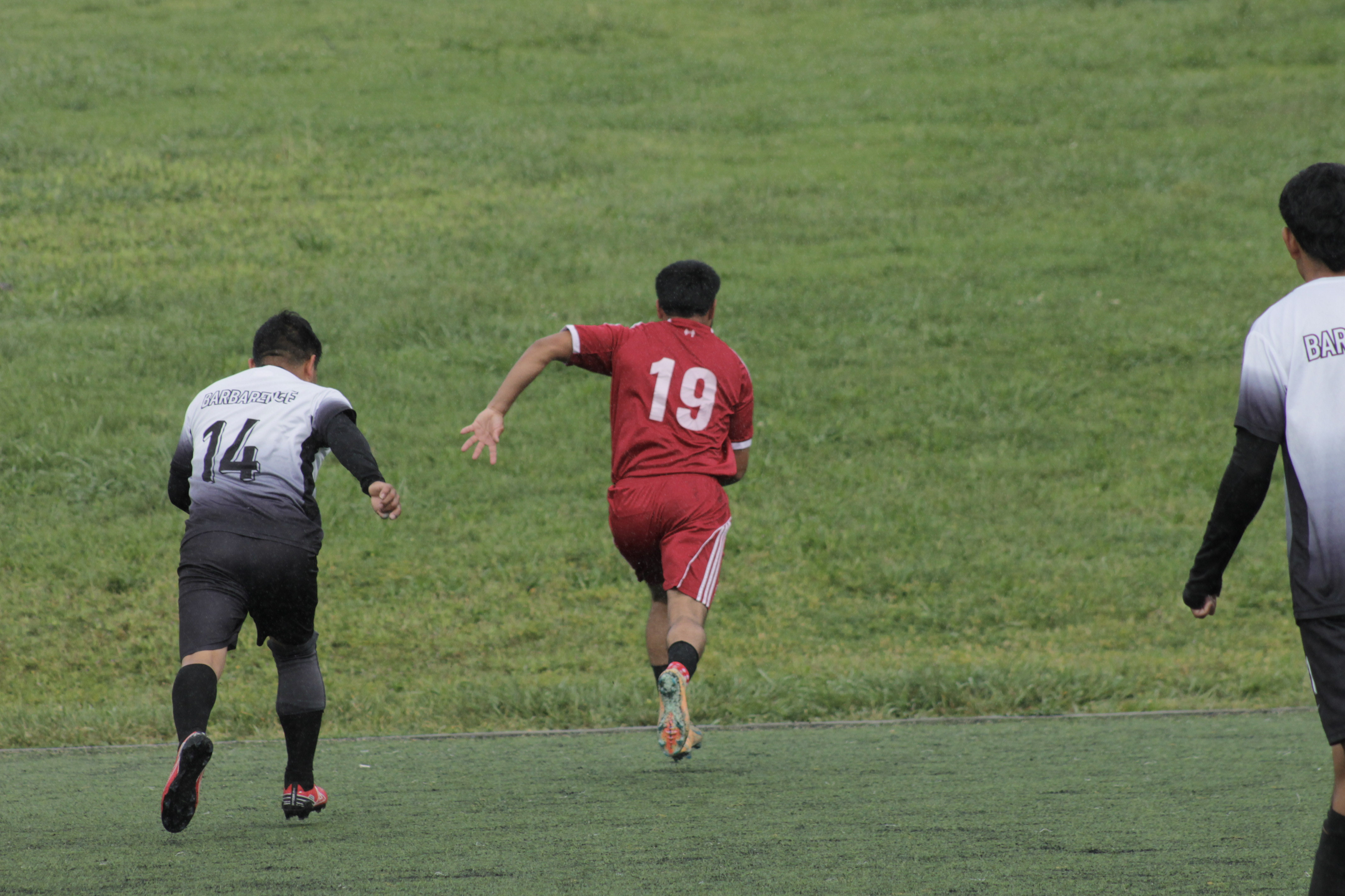 15 IMG 2275