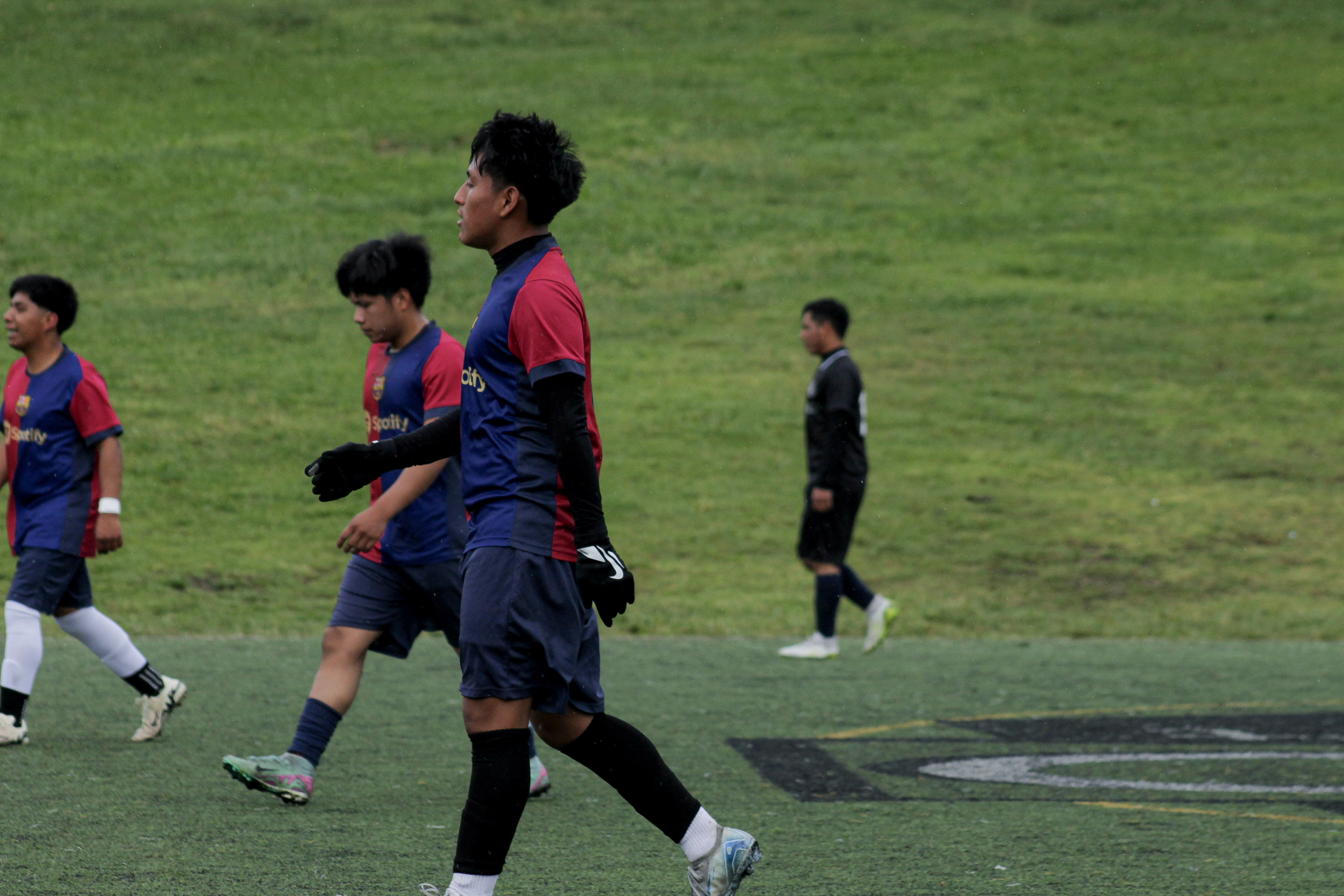 5 IMG 2395