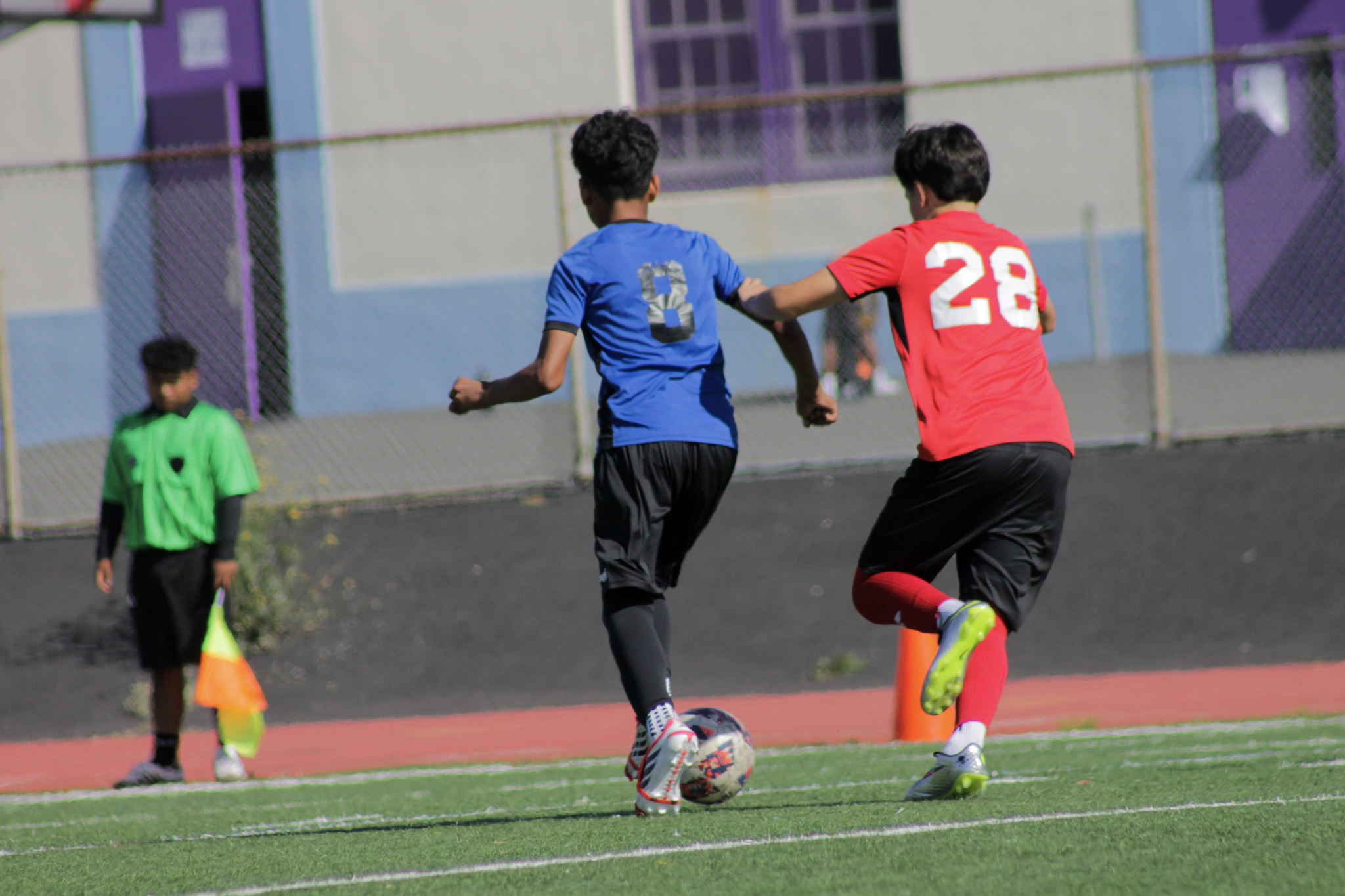 12 IMG 2423