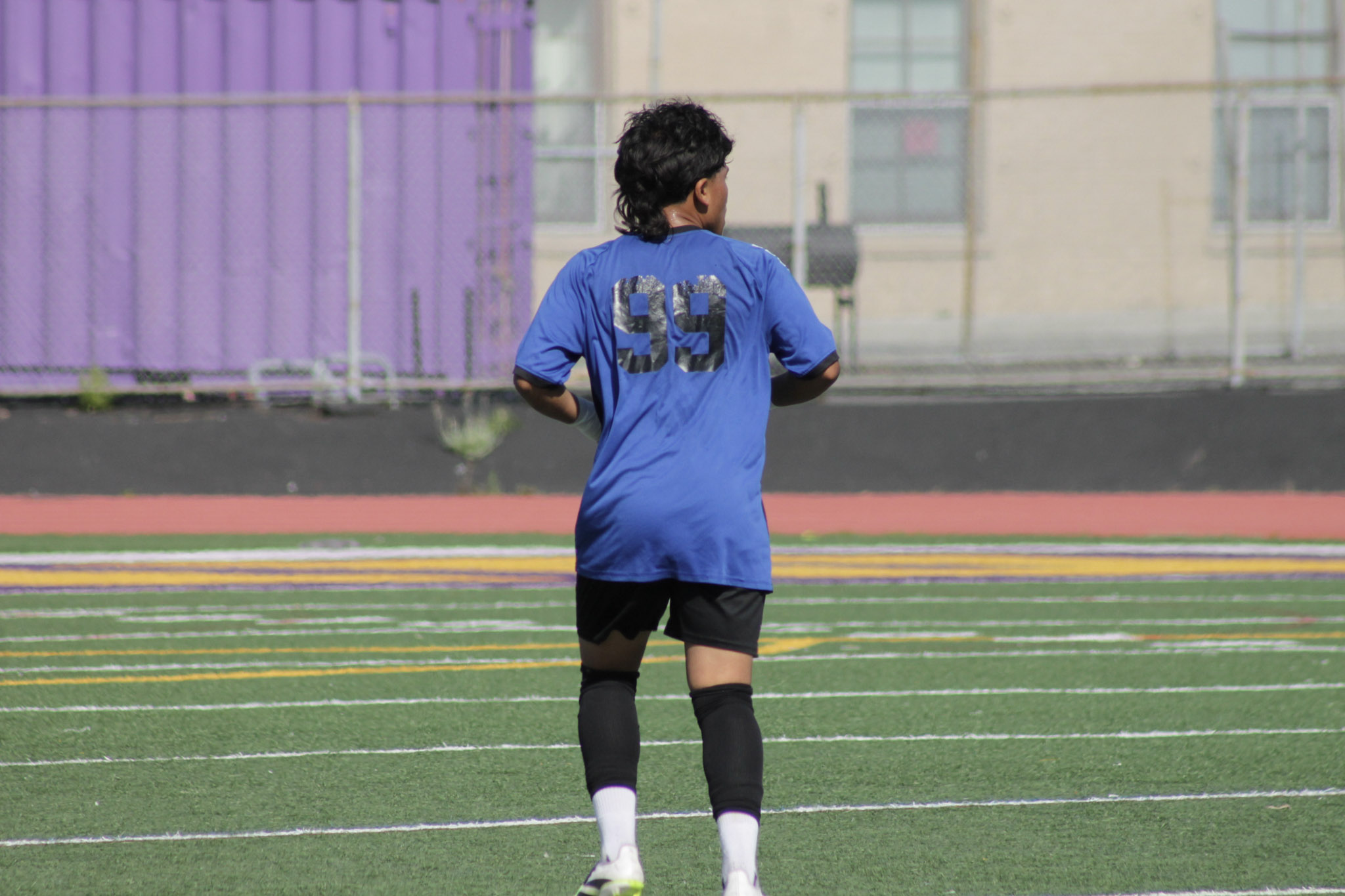 49 IMG 2487