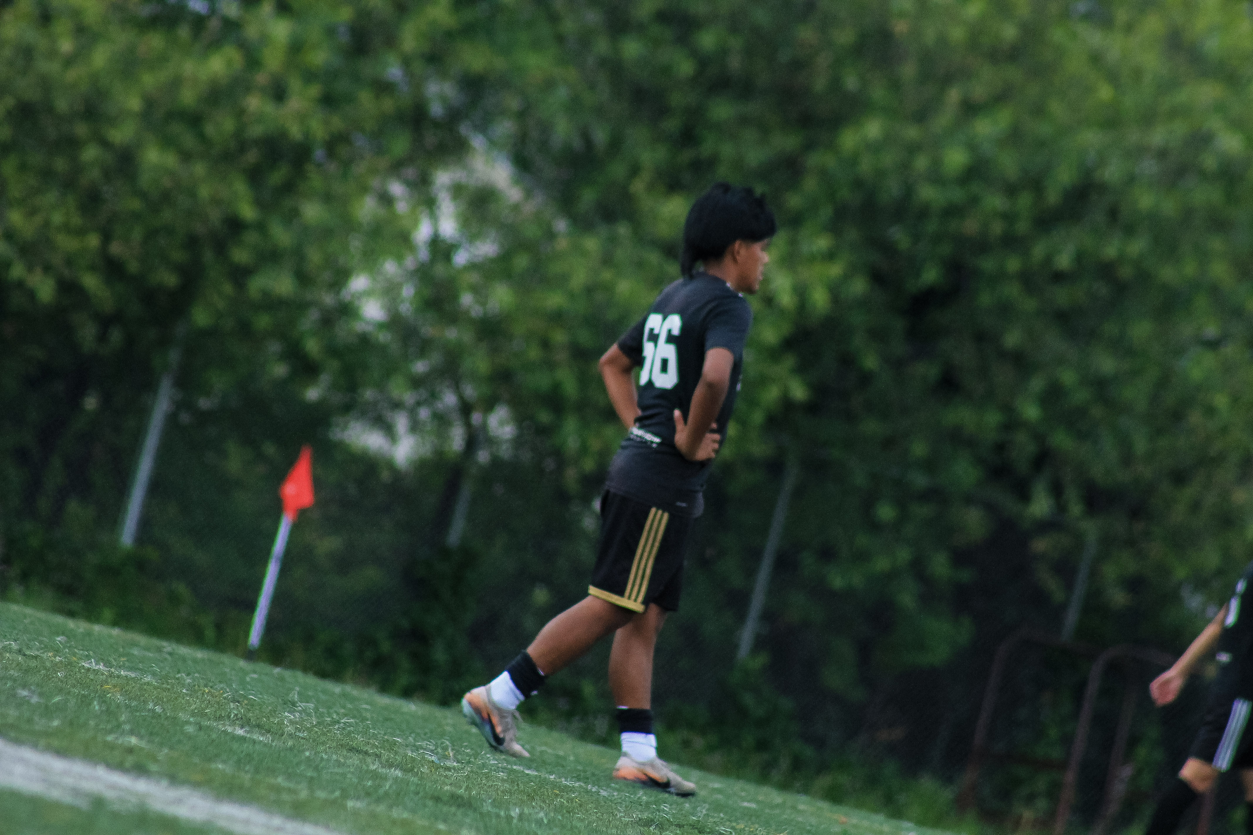 48 IMG 4548
