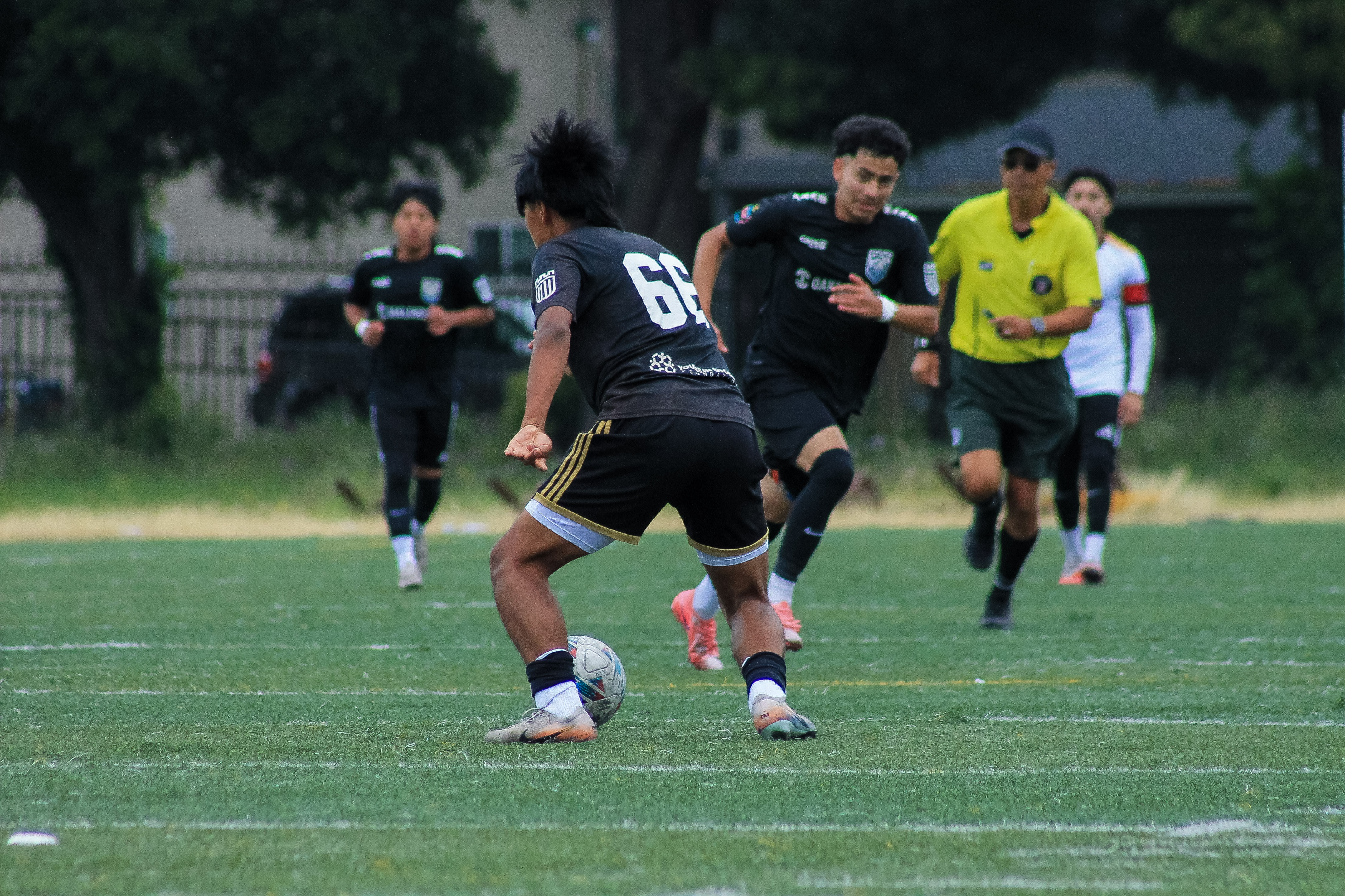 75 IMG 4651