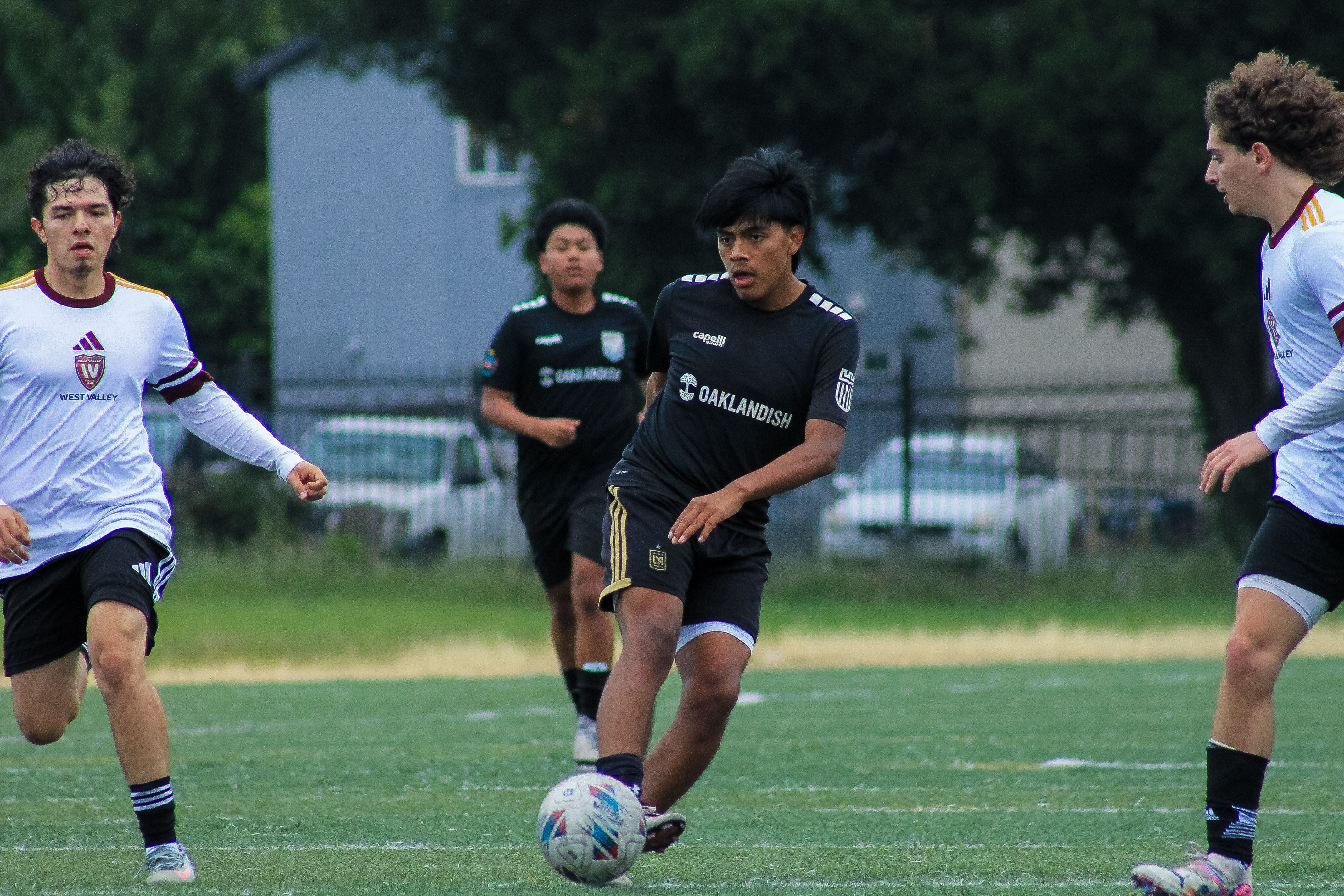 80 IMG 4656
