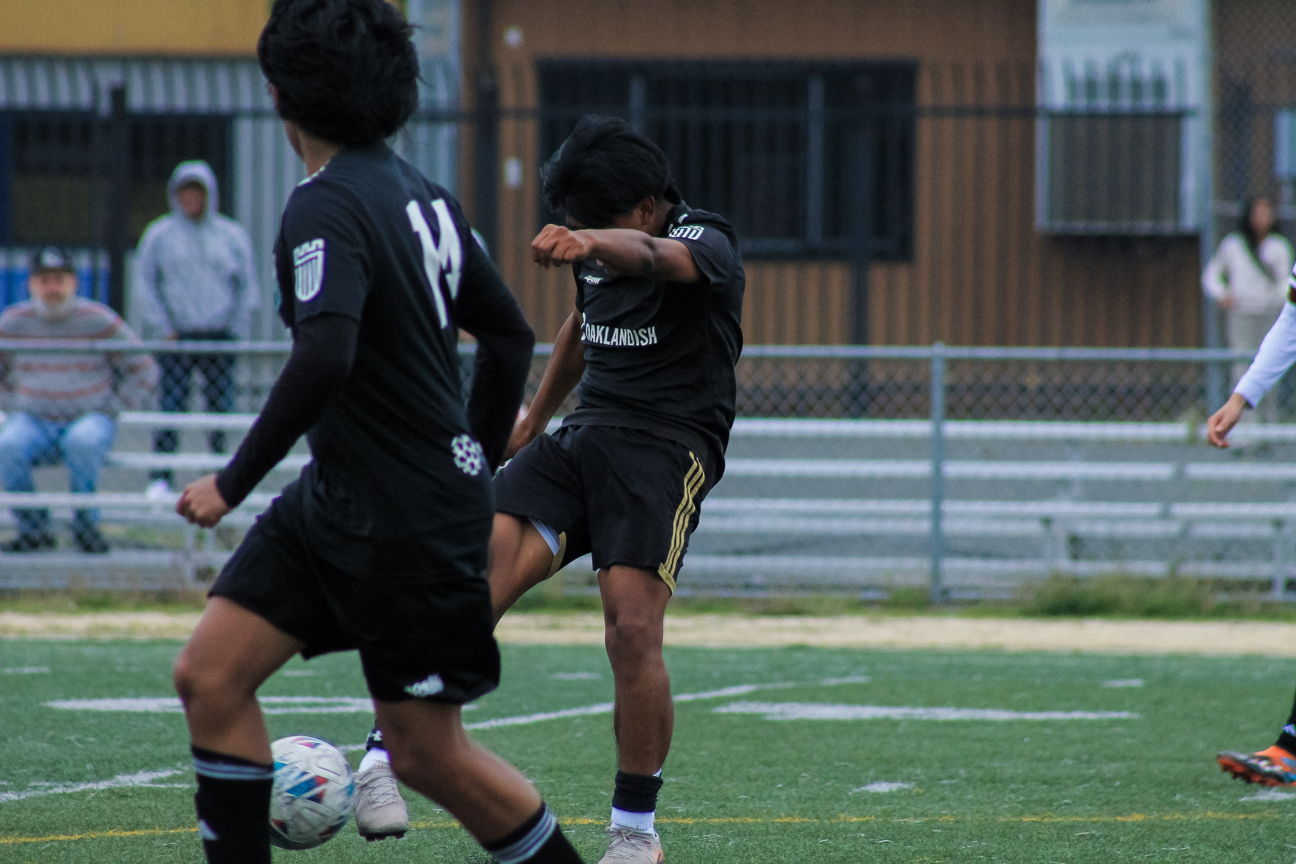 113 IMG 4767