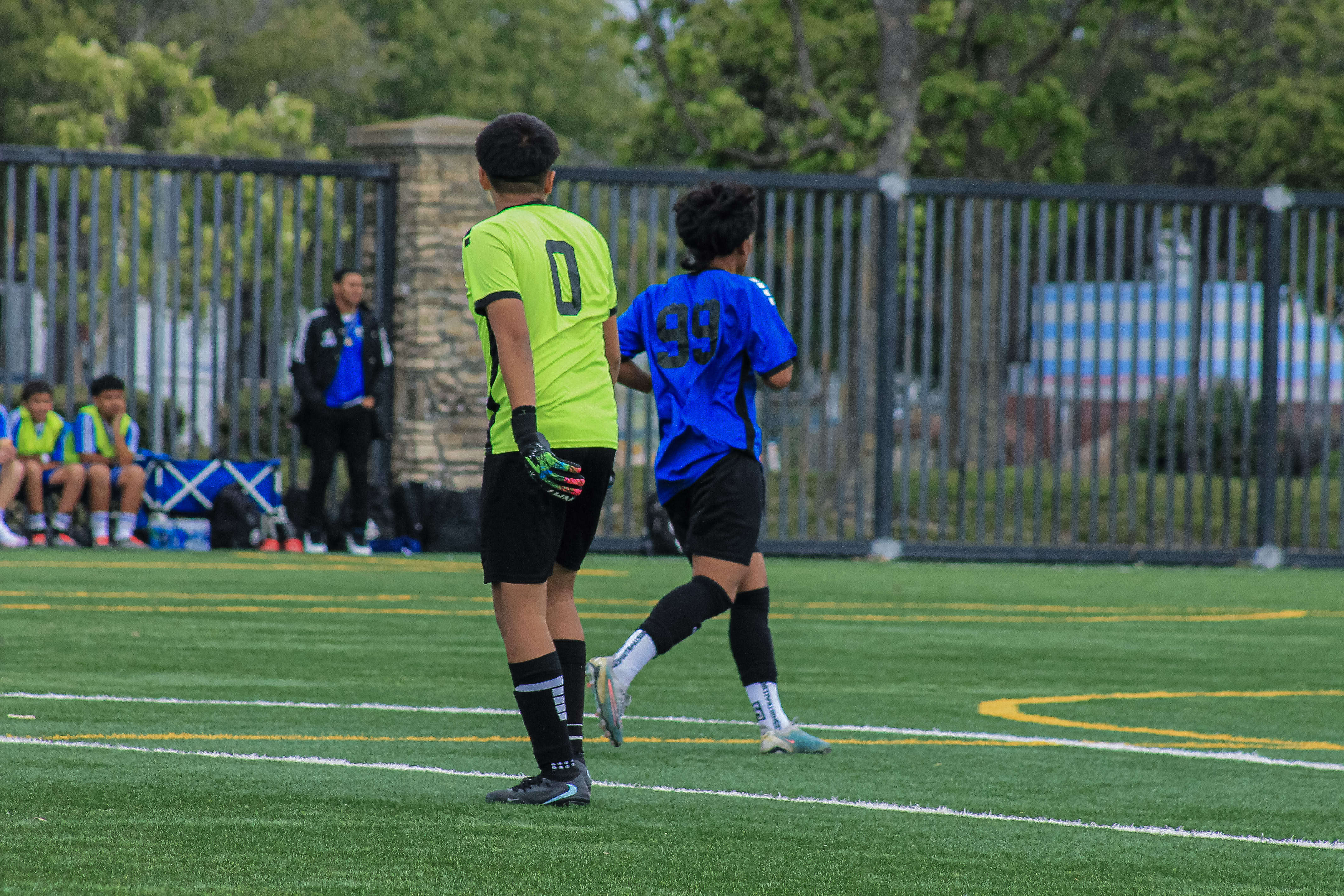 17 IMG 4956