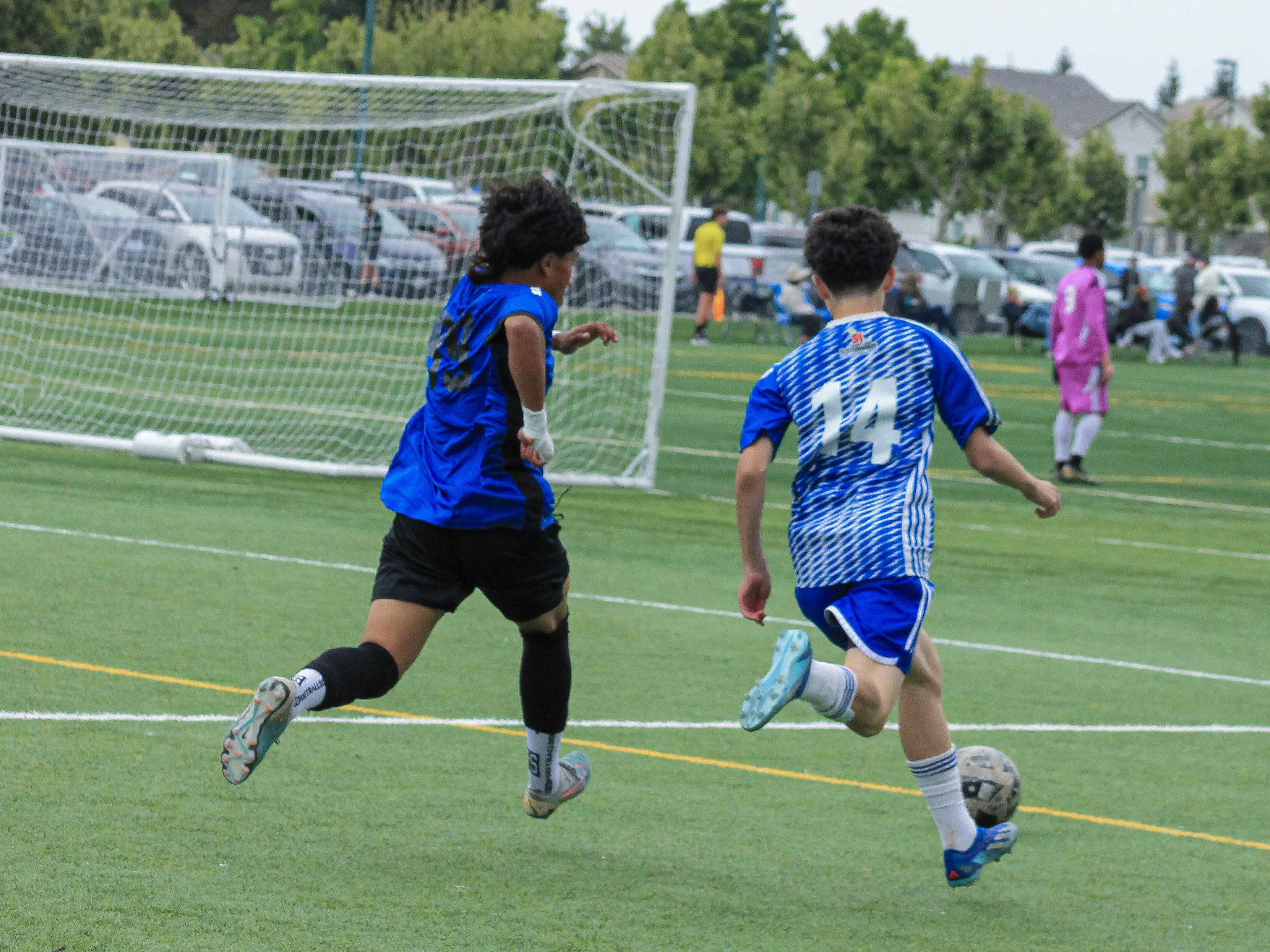 6 IMG 4906
