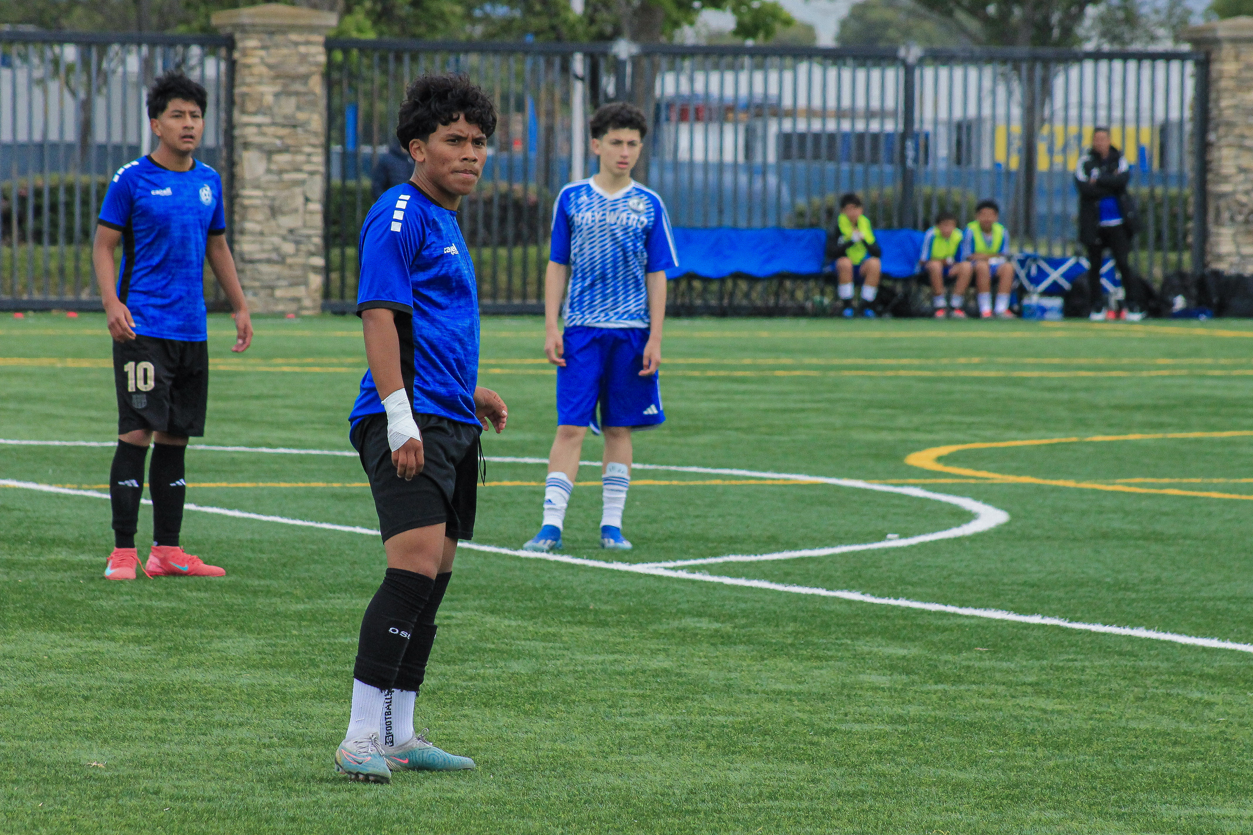 14 IMG 4942