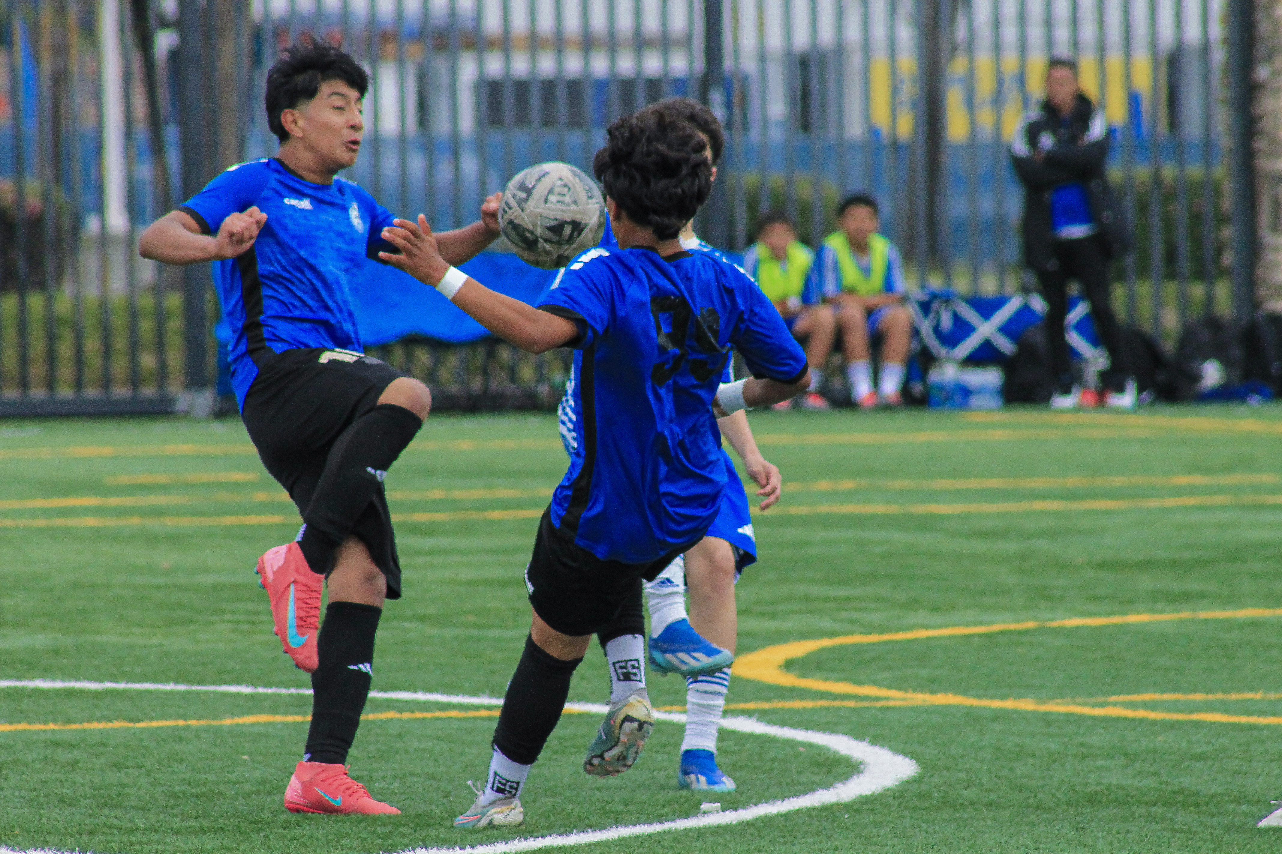 15 IMG 4944