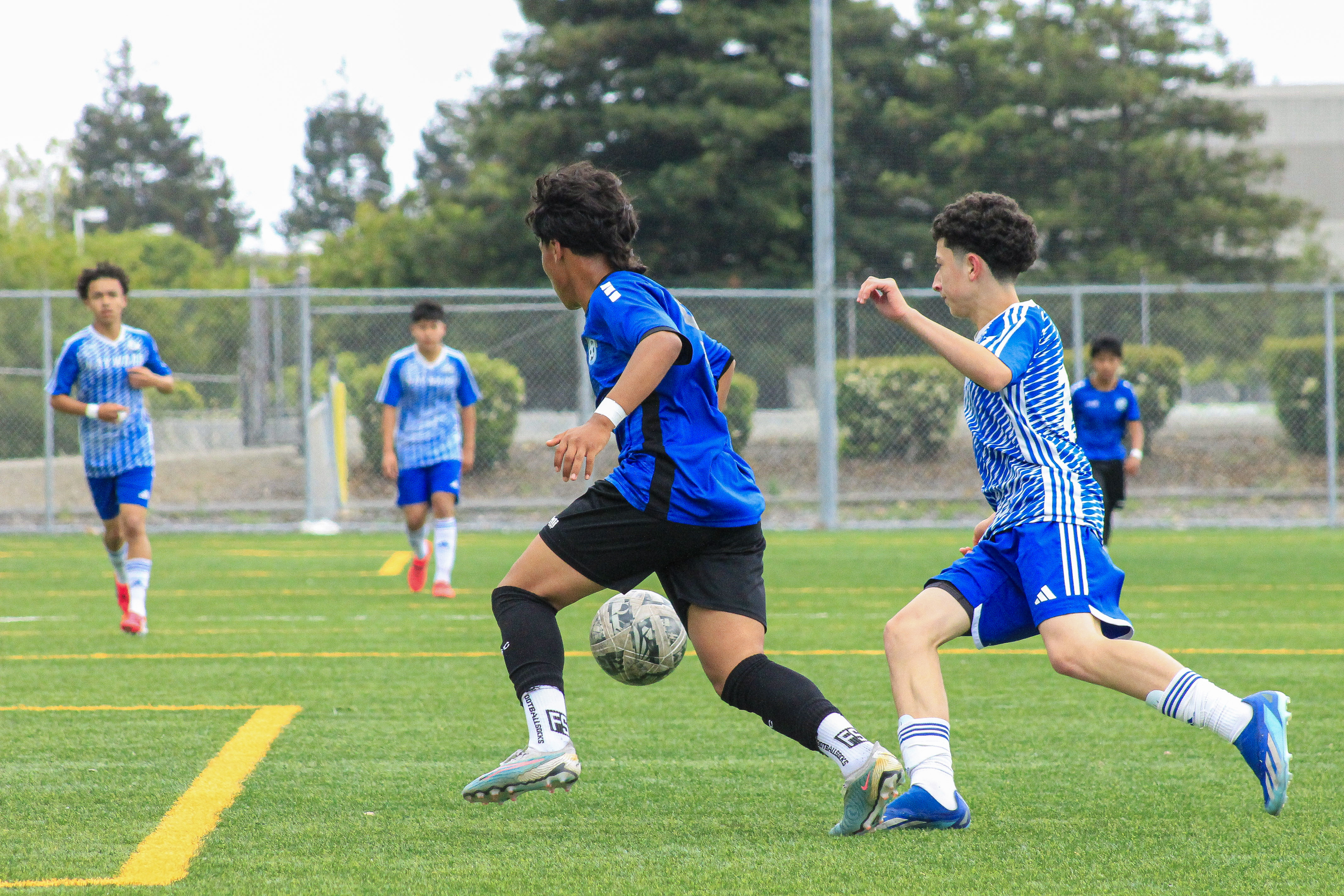 21 IMG 4975