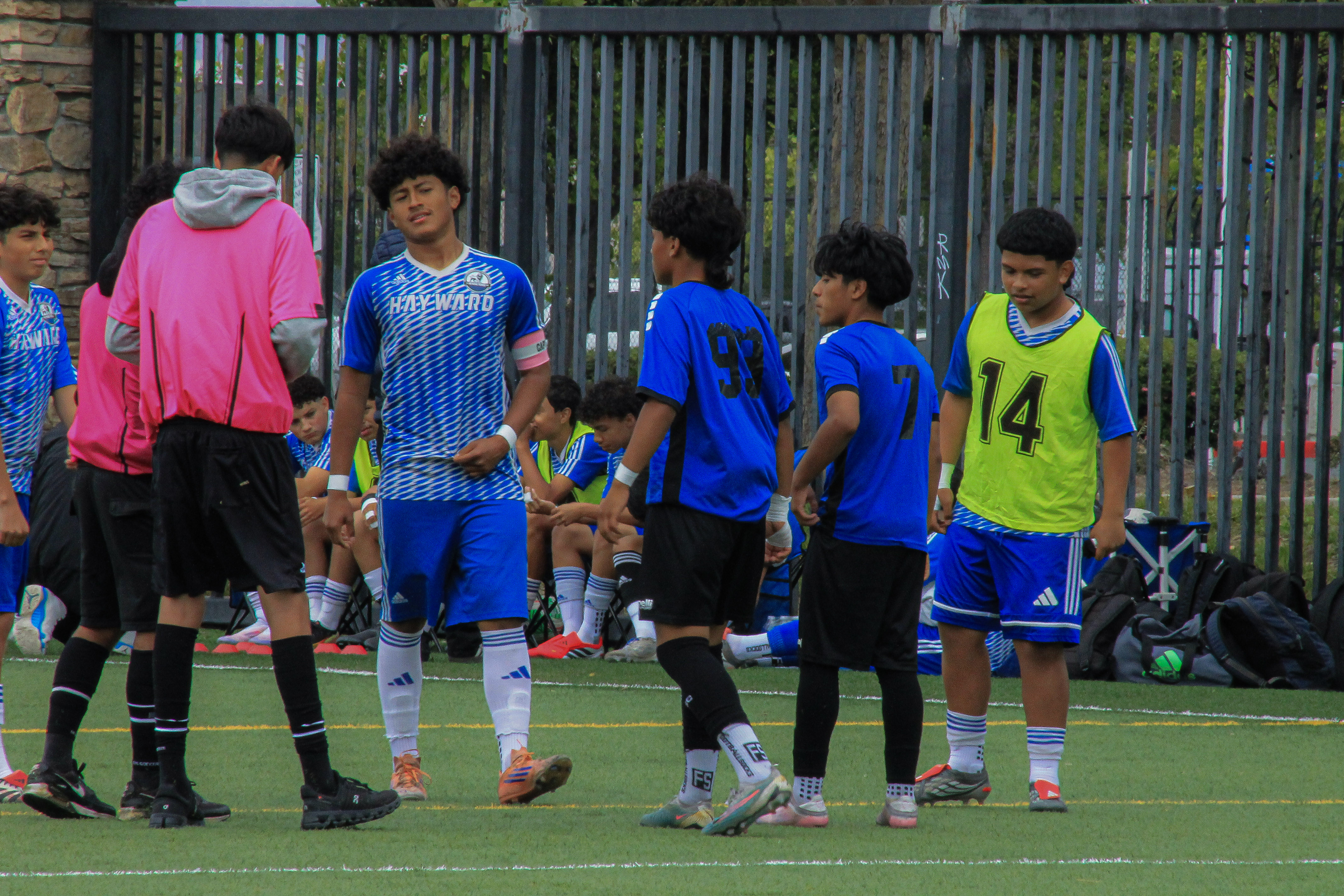 3 IMG 4888