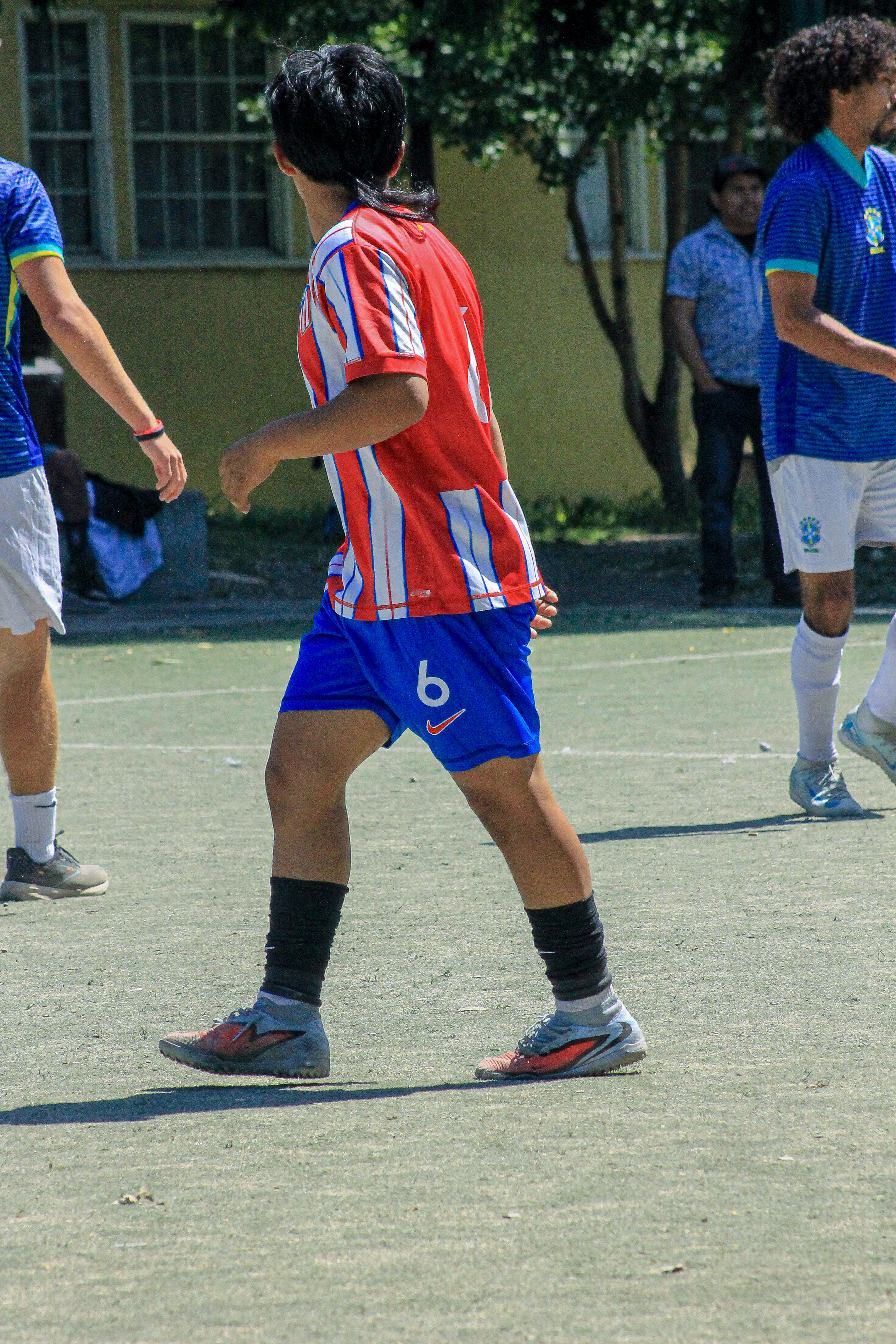 12 IMG 6690