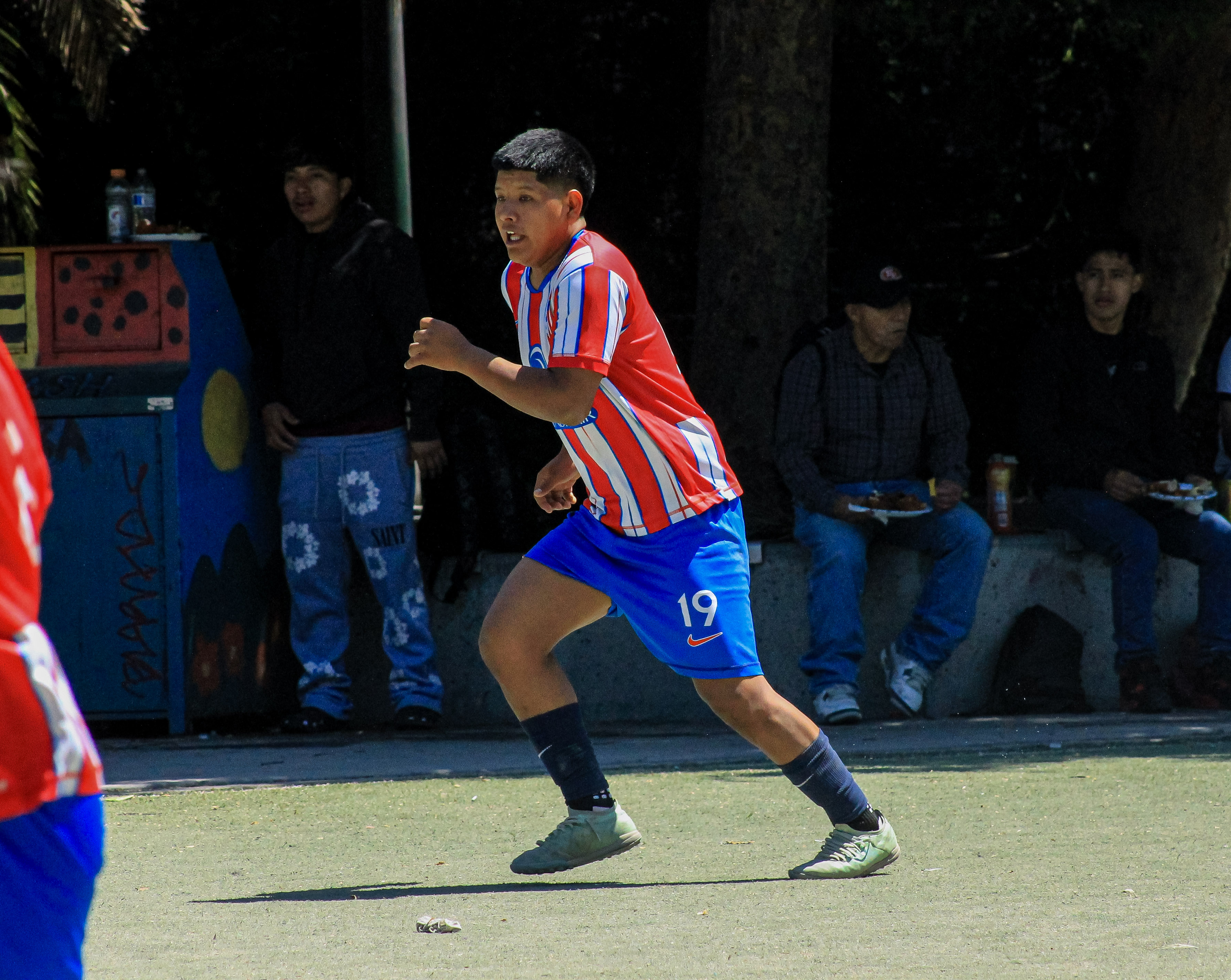 33 IMG 6786
