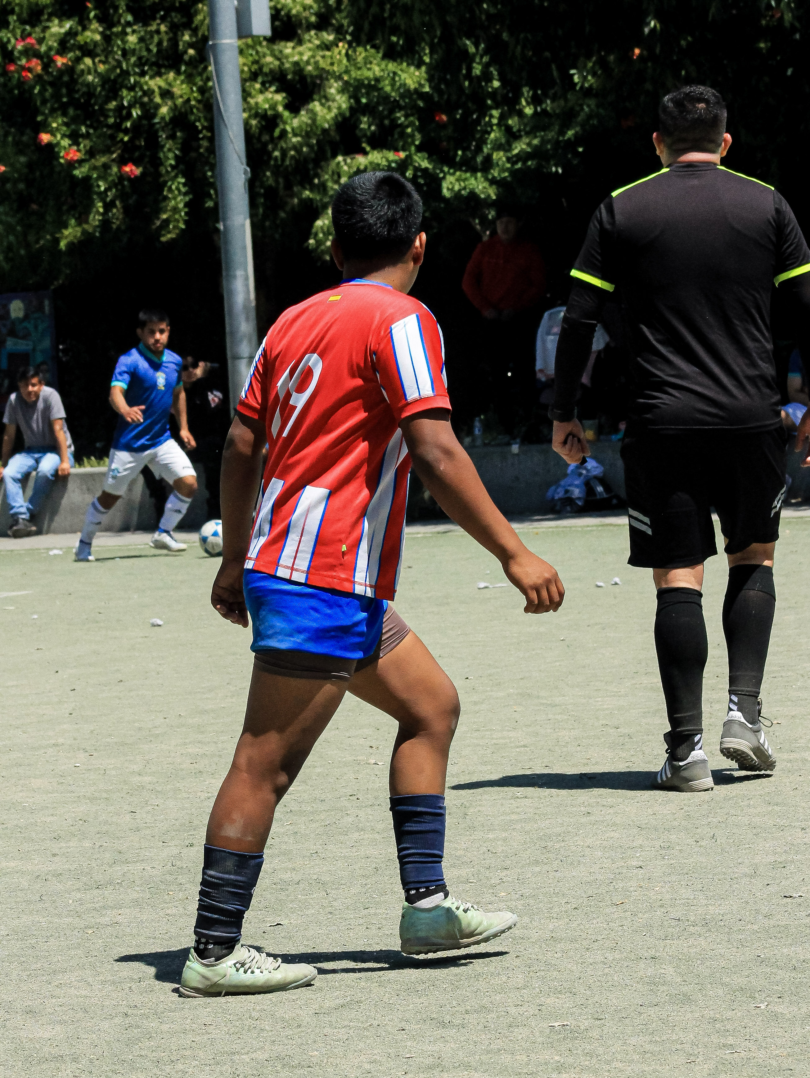 48 IMG 6844