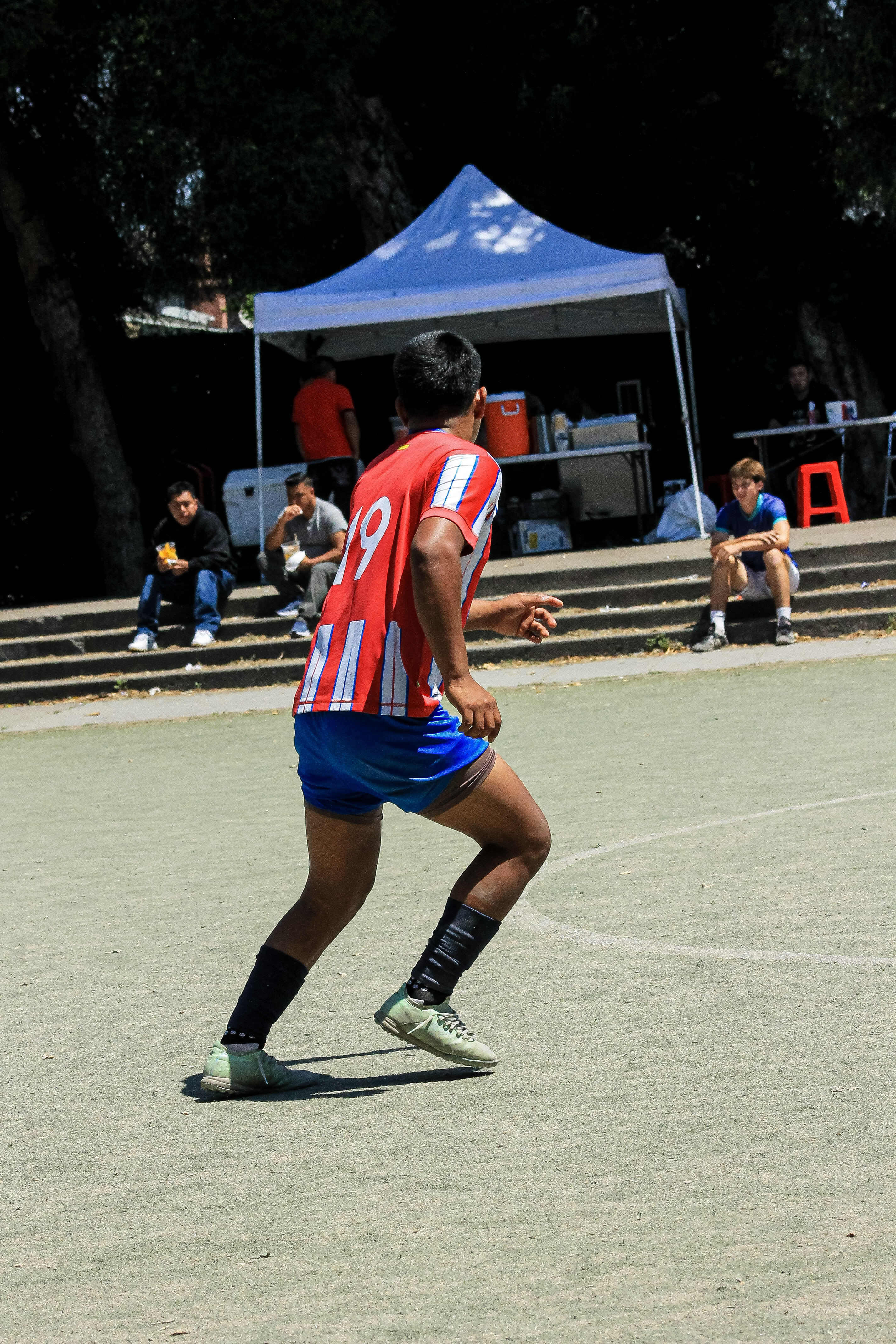 50 IMG 6846