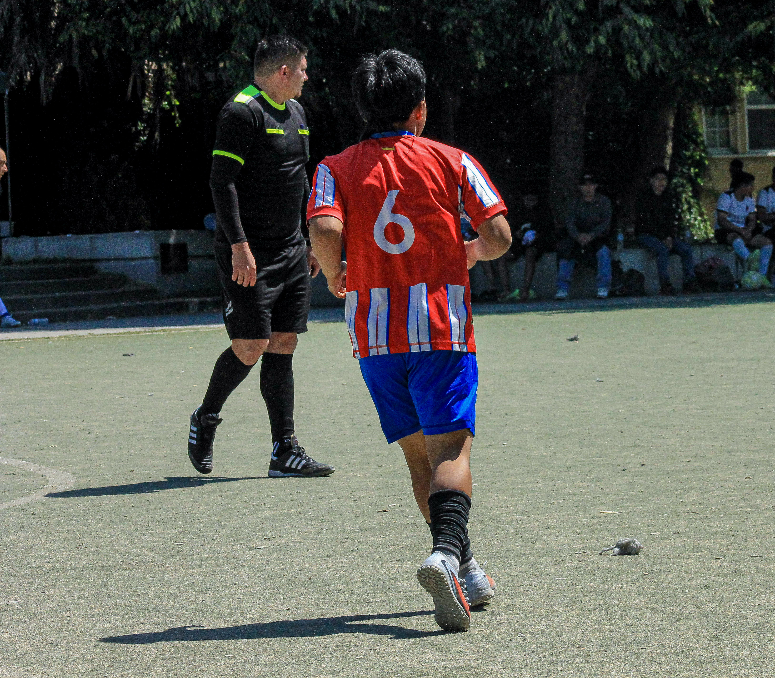 1 IMG 6656