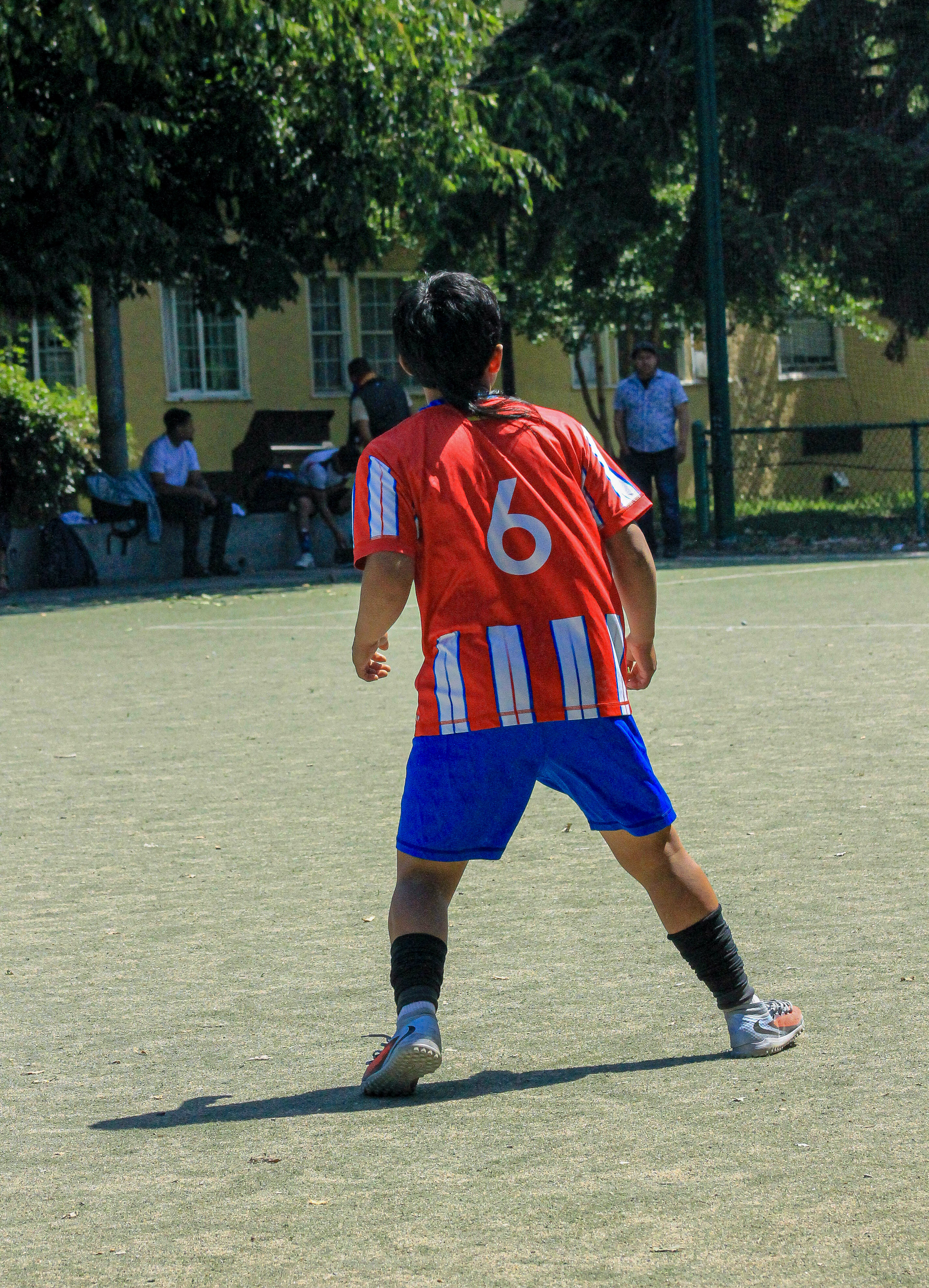 3 IMG 6658