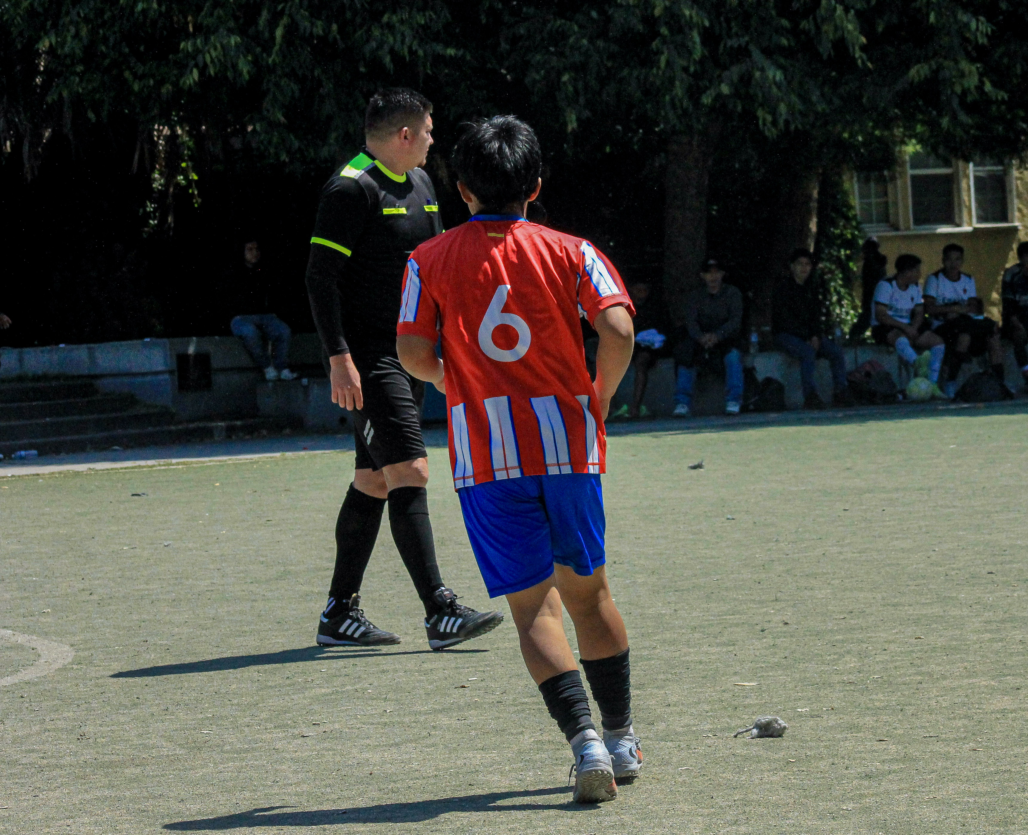 2 IMG 6657