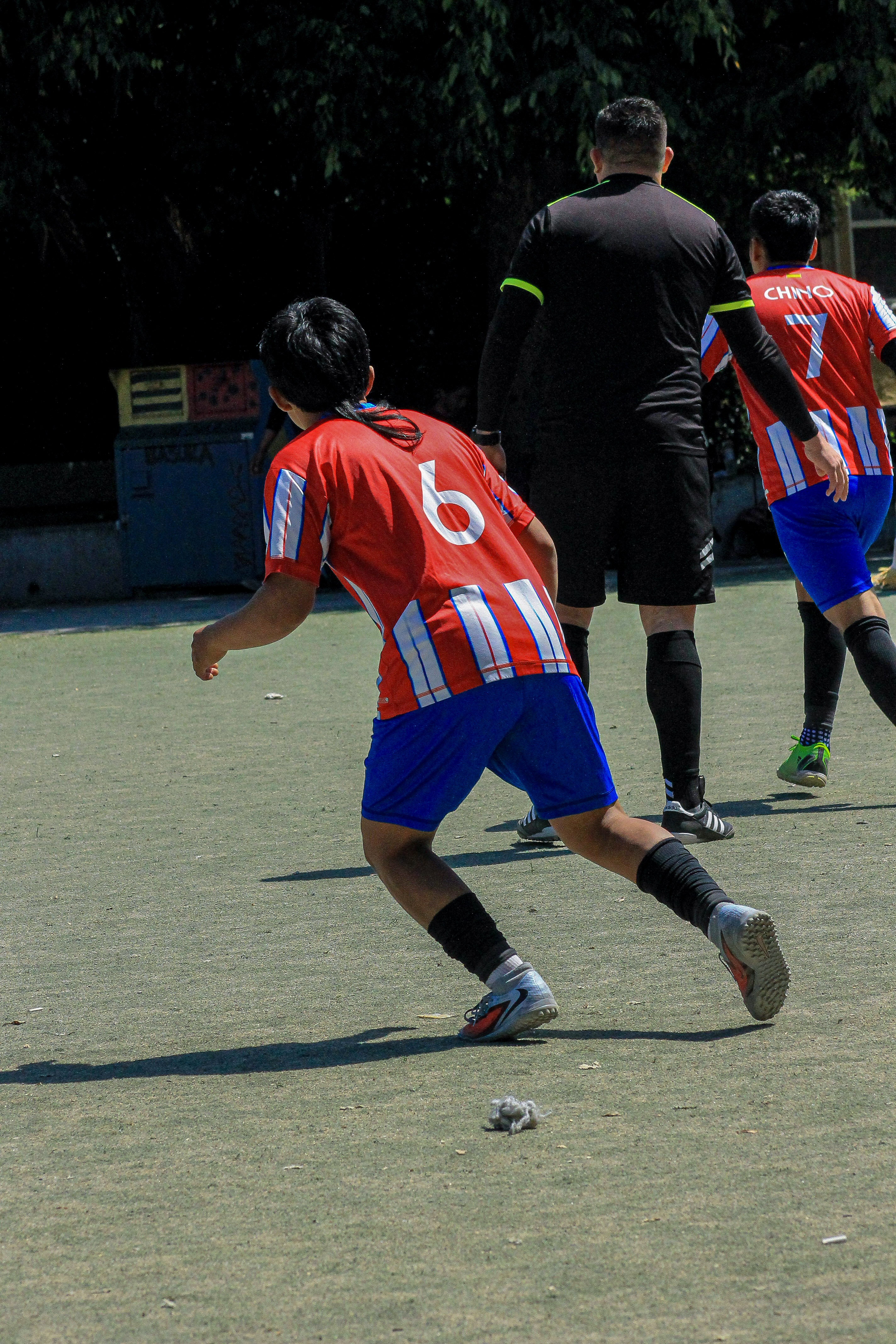 5 IMG 6662