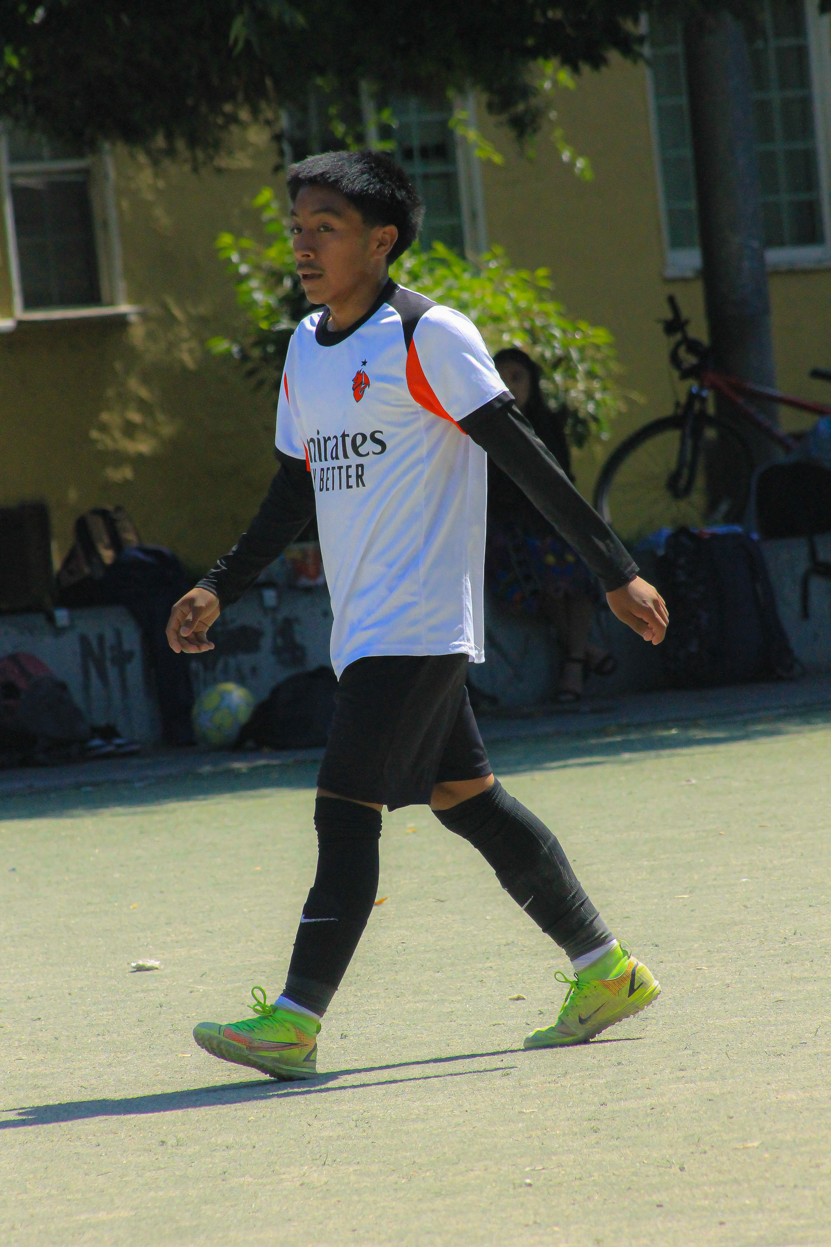5 IMG 6617