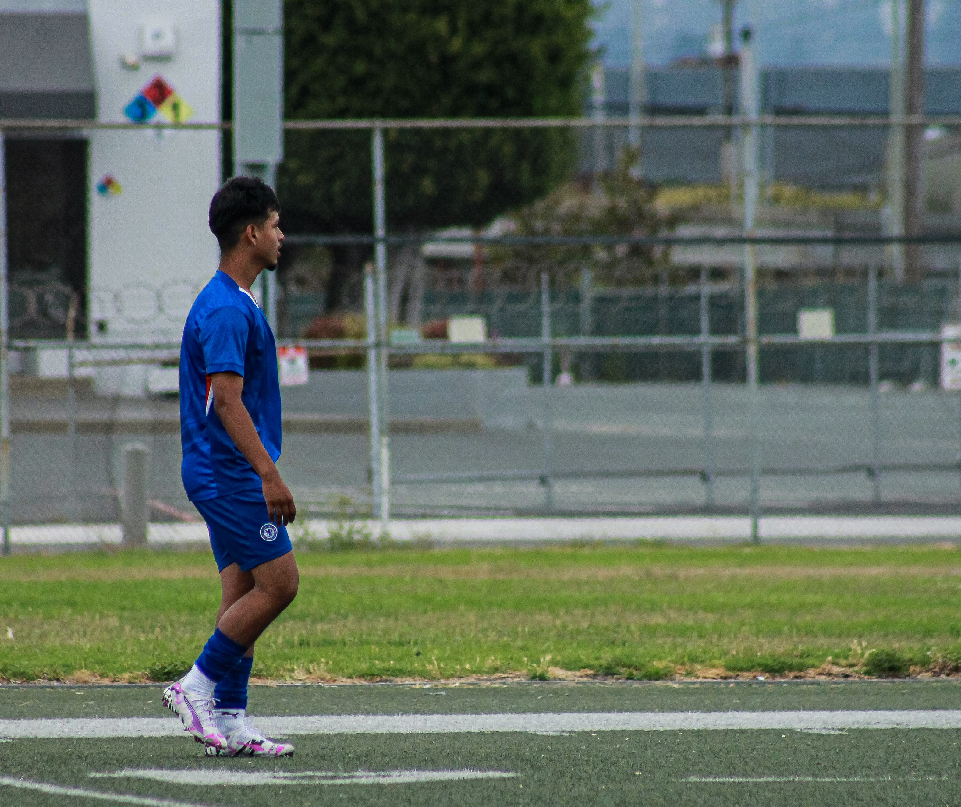 12 IMG 0756