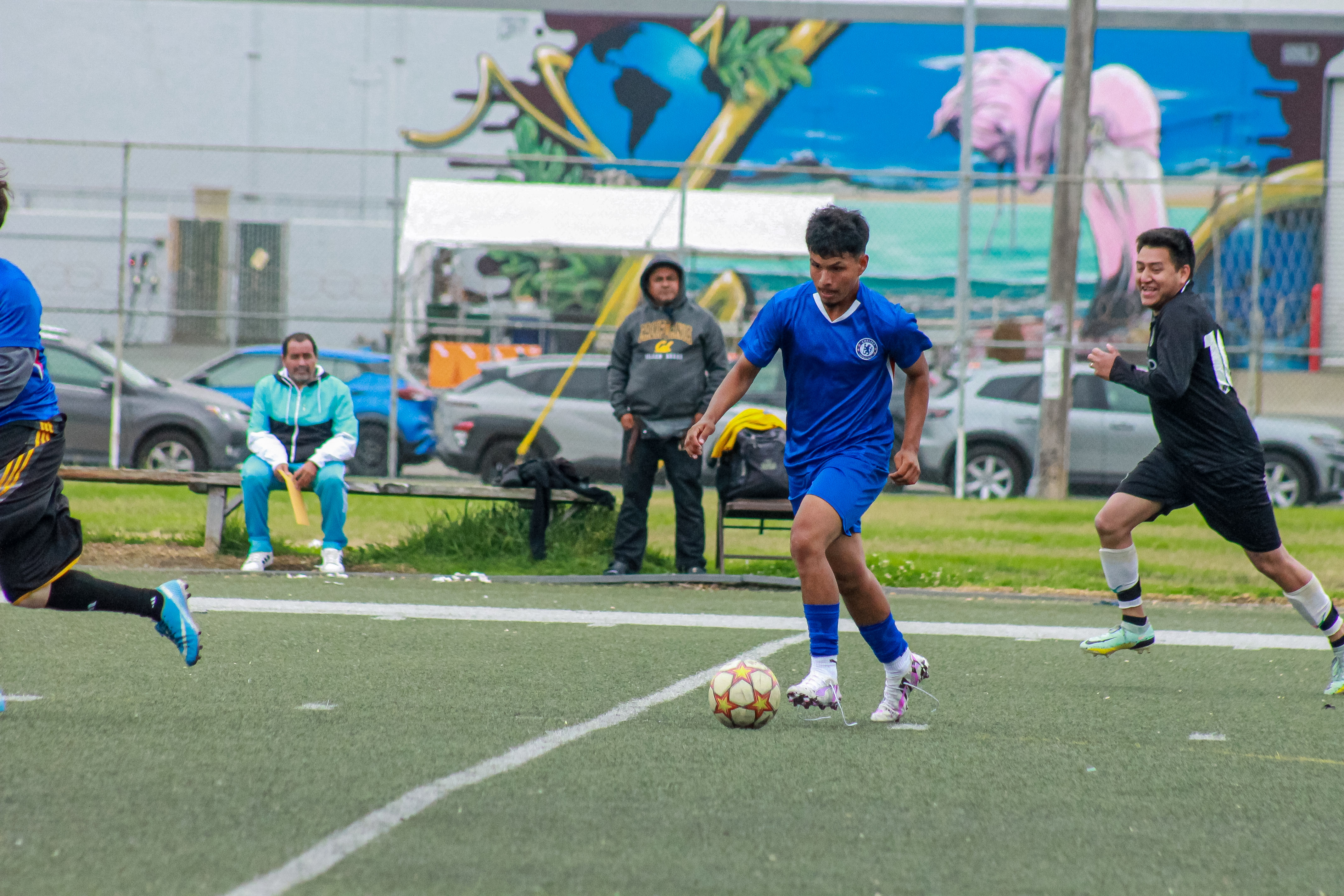 61 IMG 1264