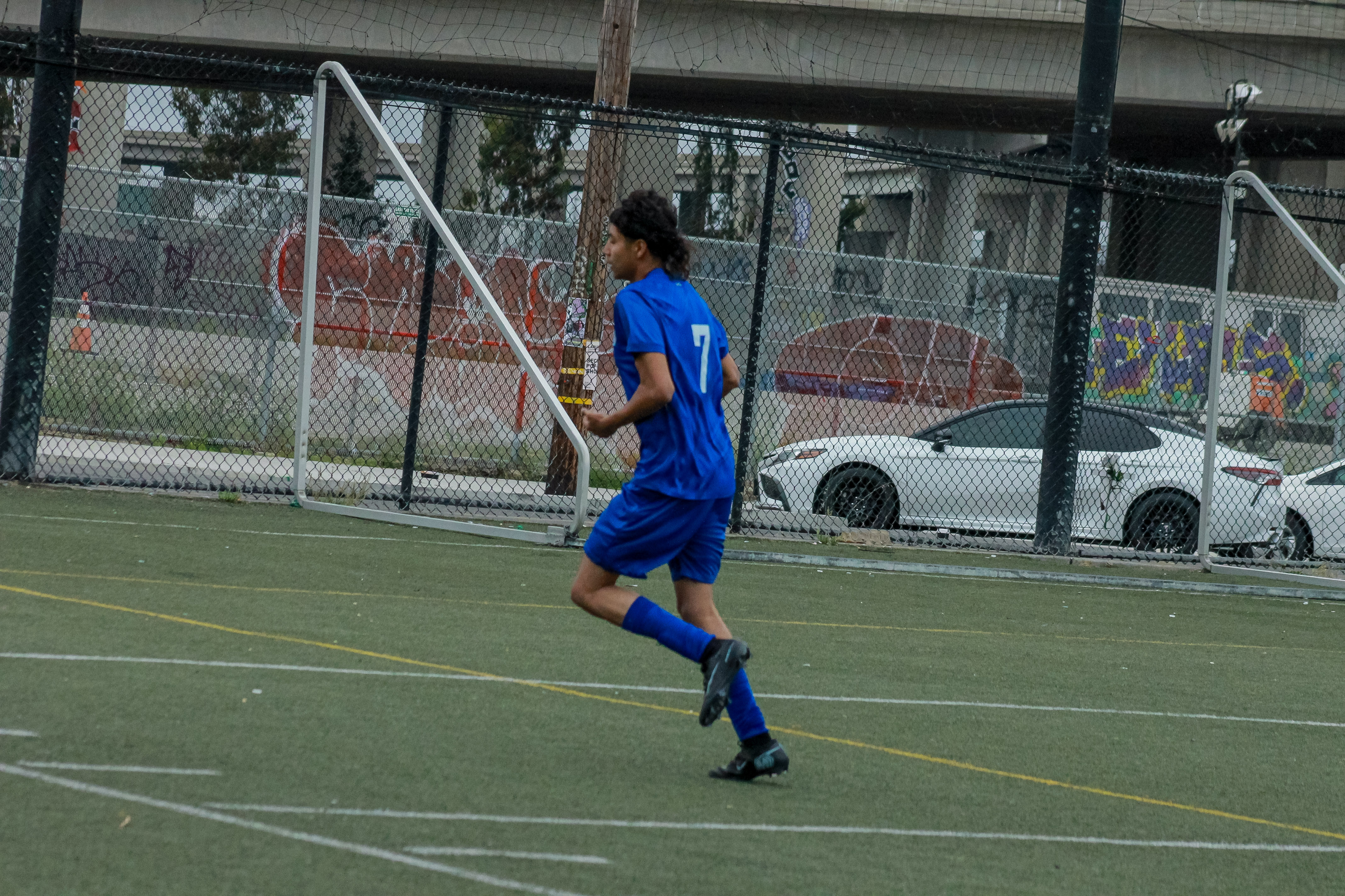 6 IMG 1133