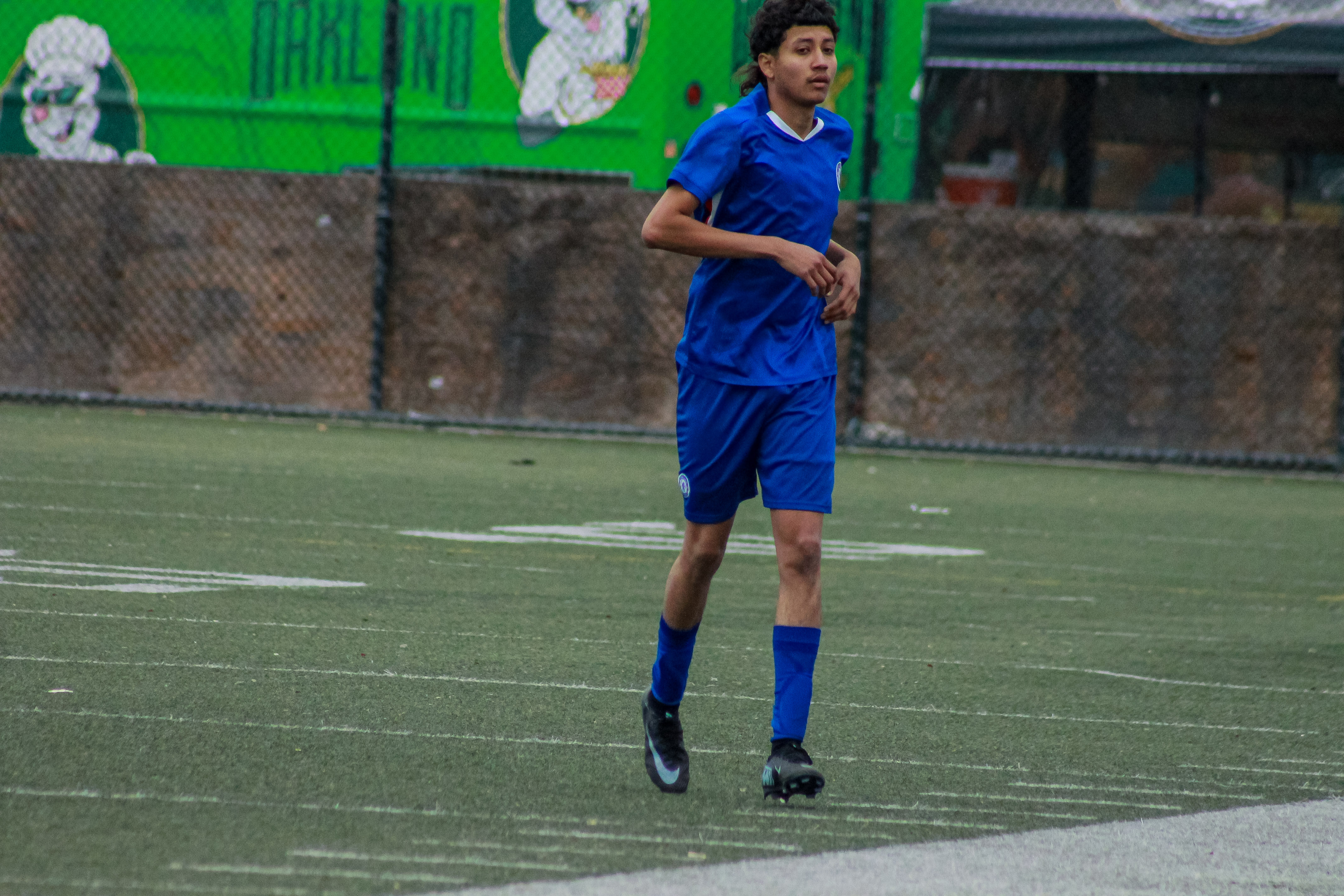 12 IMG 1146