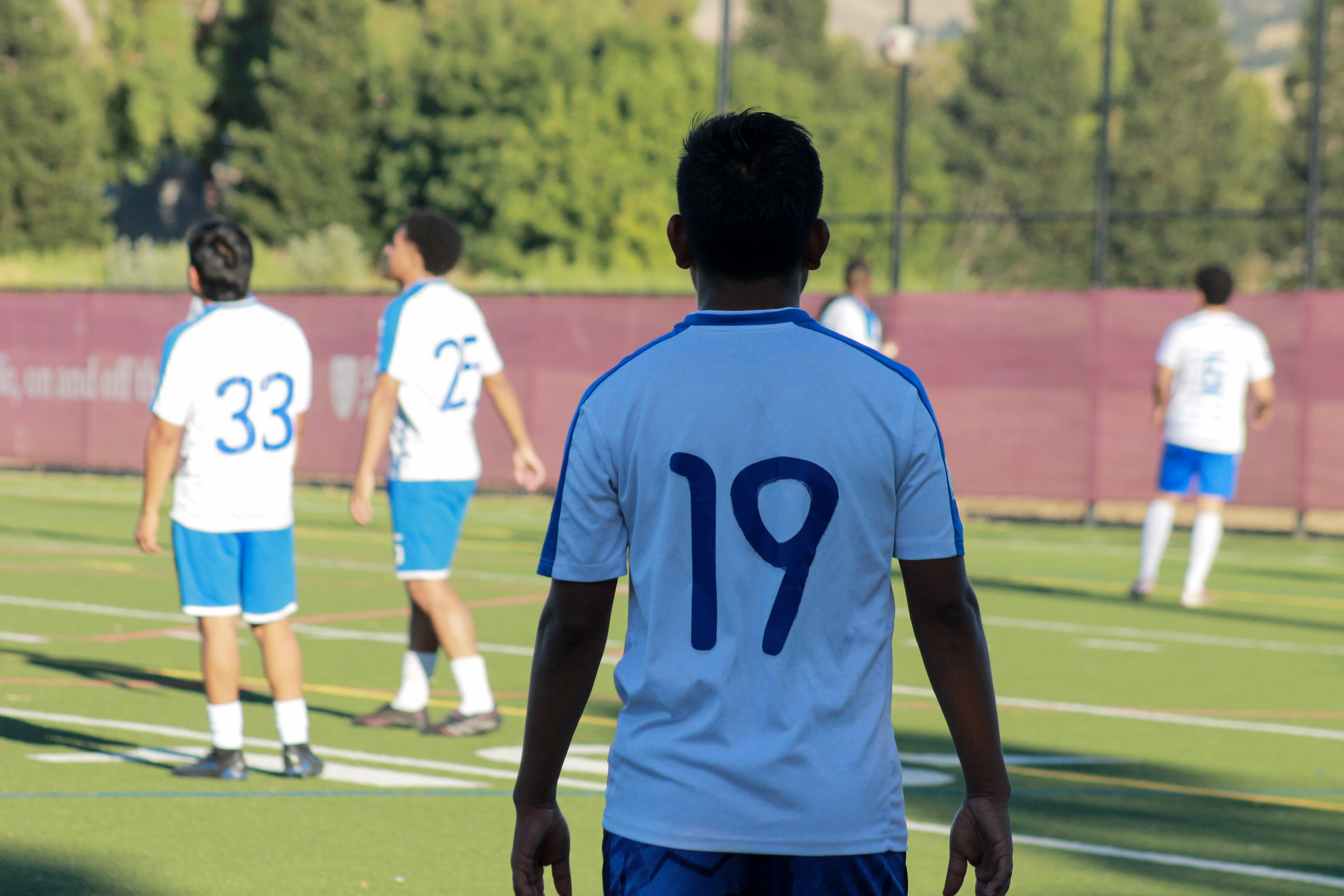 5 IMG 7046