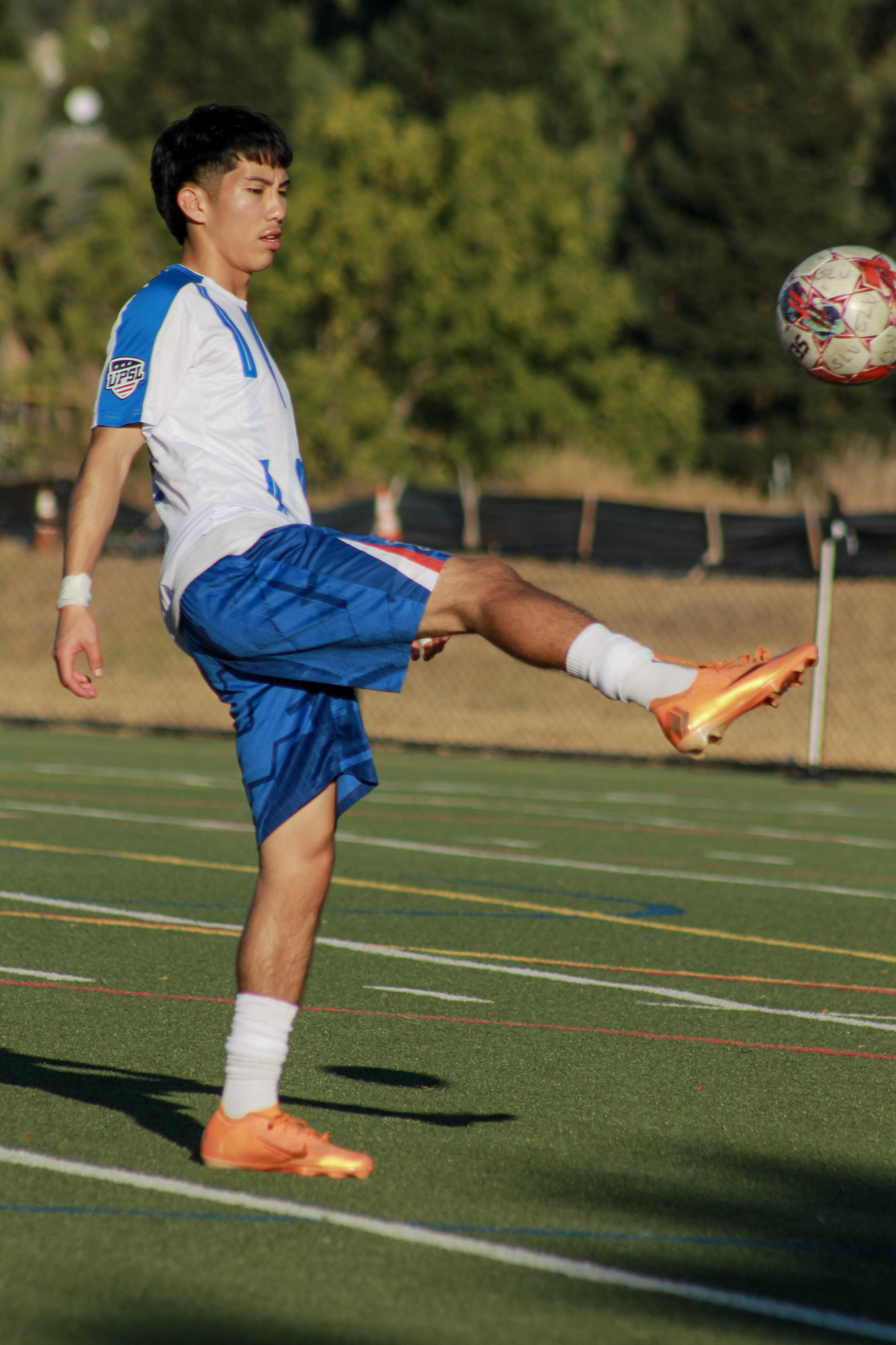 12 IMG 7061
